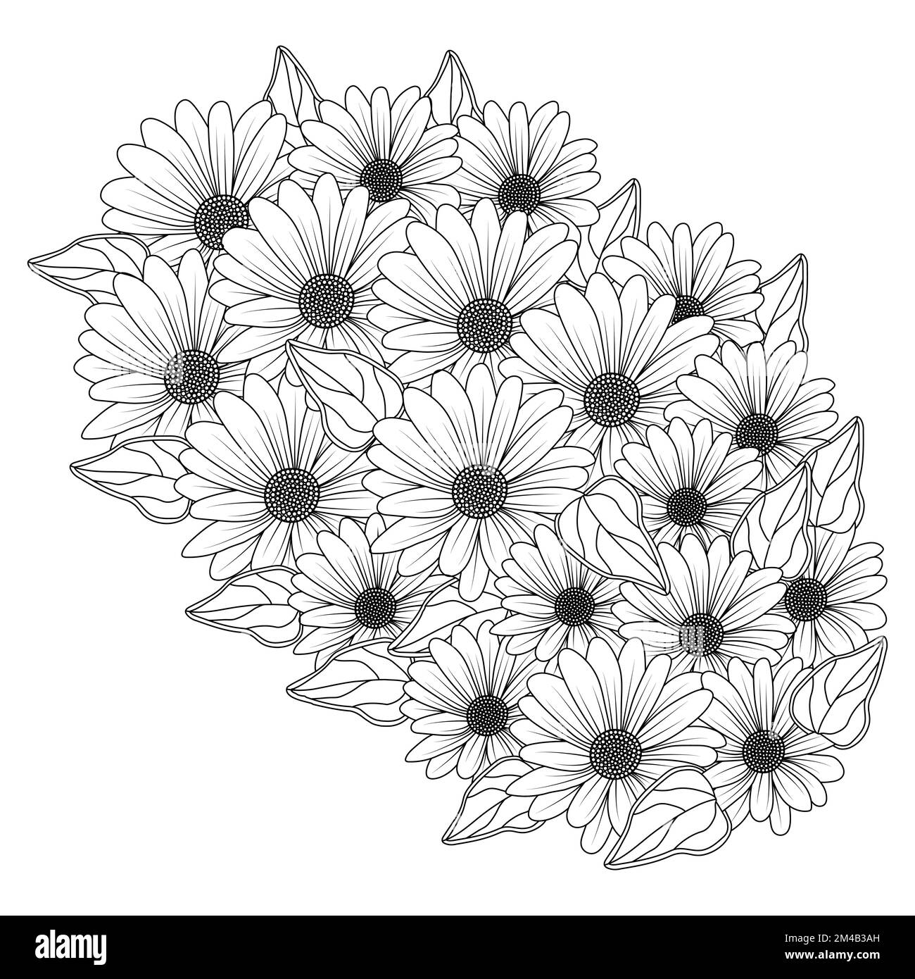 margherite fiore margherite disegno vettoriale di contorno nella pagina dettagliata di colorazione di arte di linea Illustrazione Vettoriale