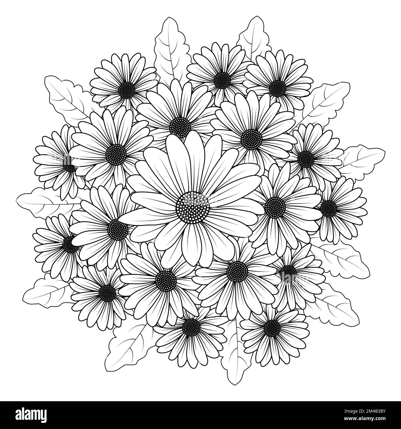 margherite fiore margherite disegno vettoriale di contorno nella pagina dettagliata di colorazione di arte di linea Illustrazione Vettoriale