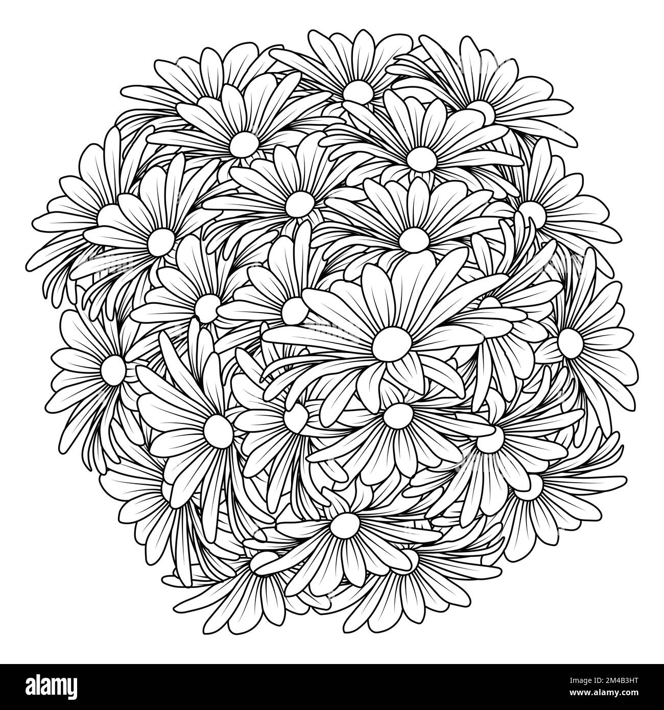 margherite fiore margherite disegno vettoriale di contorno nella pagina dettagliata di colorazione di arte di linea Illustrazione Vettoriale