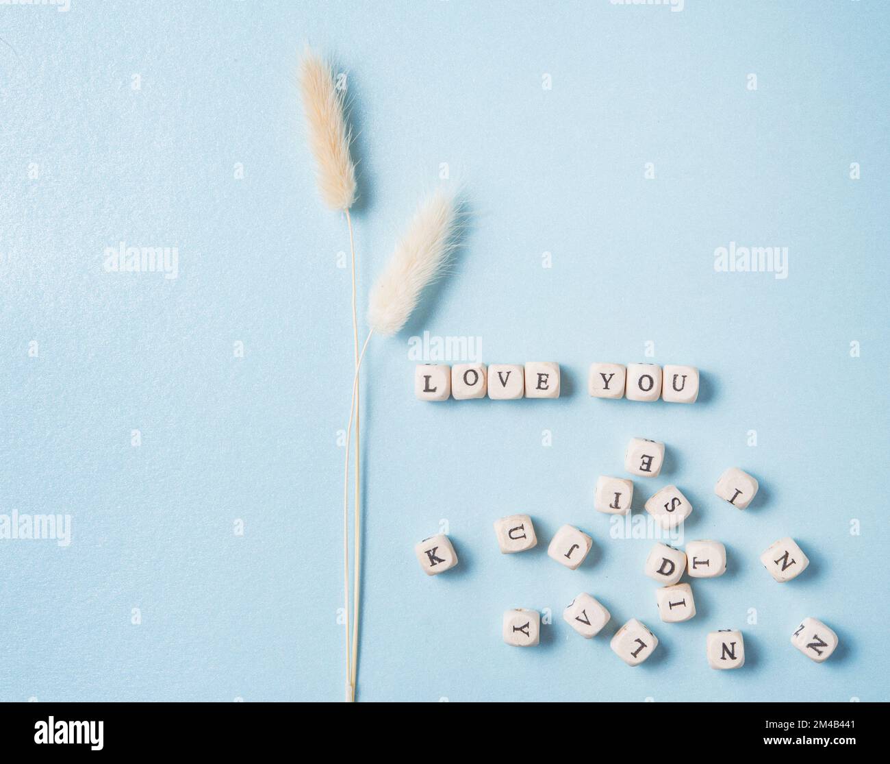 piatto minimalista con fiori secchi bianchi e cubi sparsi con la parola amore su sfondo blu. Concetto di San Valentino, Festa della mamma, Foto Stock