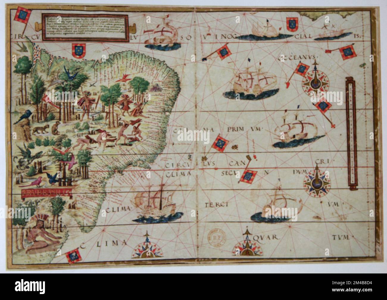 Carta nautica del cartografo portoghese e cartografo Lopo Homen, 1519-22 Foto Stock