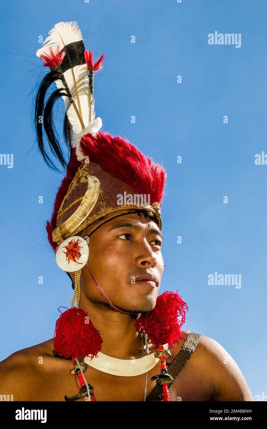 Phom-Warriors completamente decorate a Hornbill-Festival Foto Stock