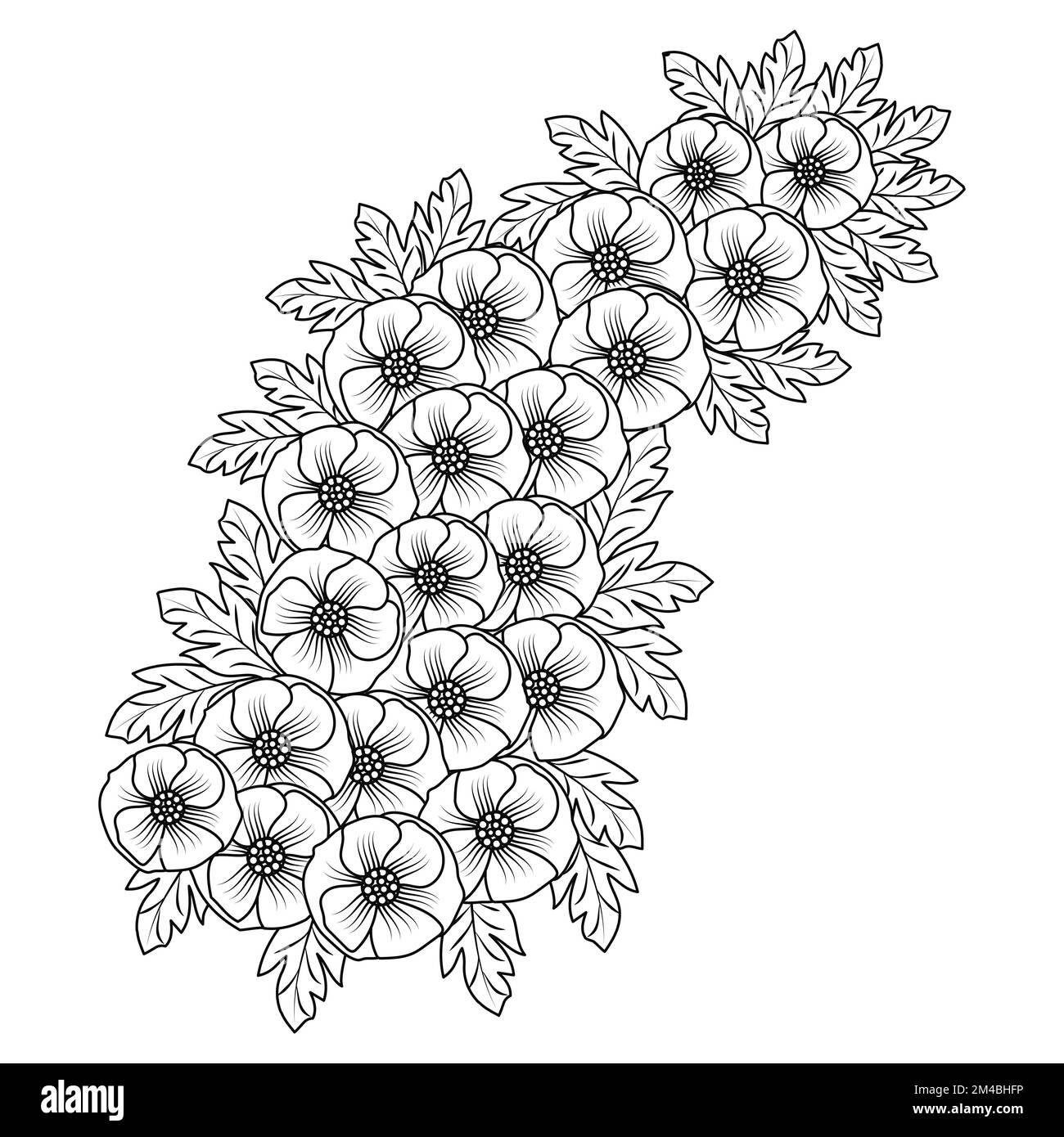 papavero fiori fiore colorazione libro pagina linea arte disegno di grafica vettoriale Illustrazione Vettoriale
