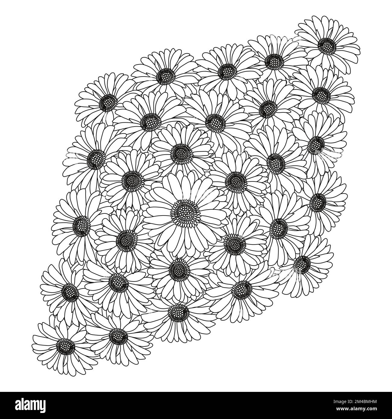 design della pagina per colorare i fiori di camomilla e margherita con grafica vettoriale dettagliata Illustrazione Vettoriale