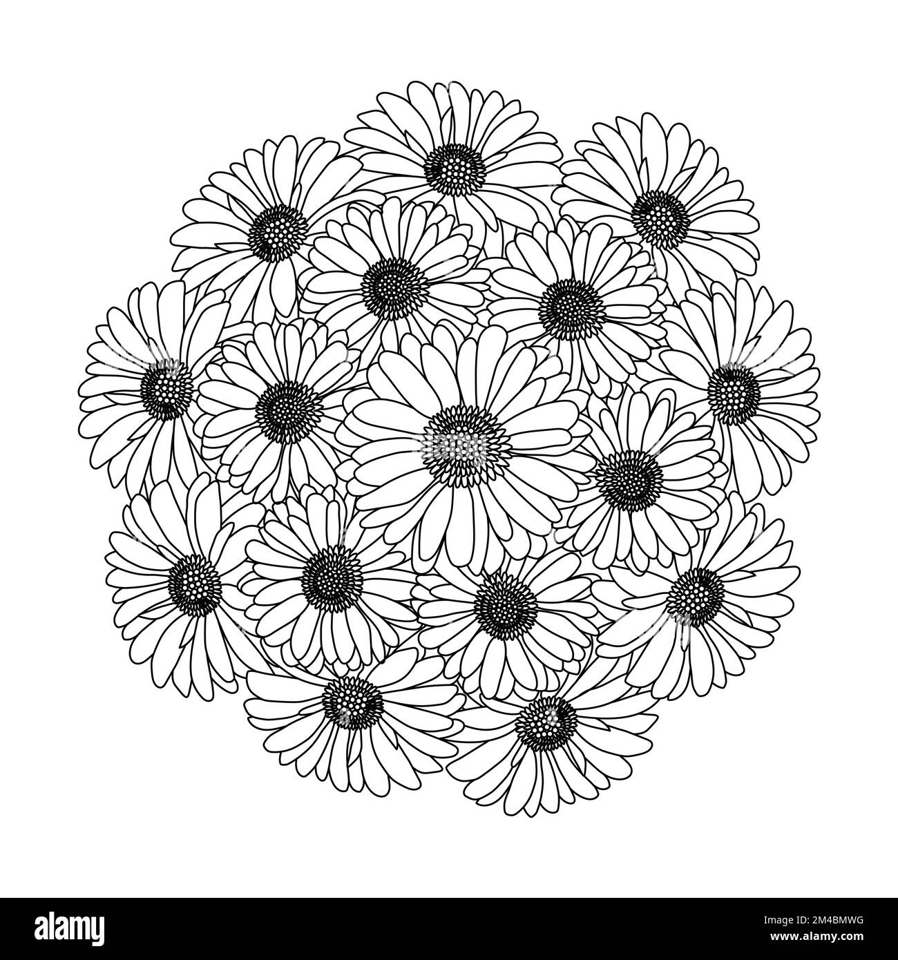 design della pagina per colorare i fiori di camomilla e margherita con grafica vettoriale dettagliata Illustrazione Vettoriale