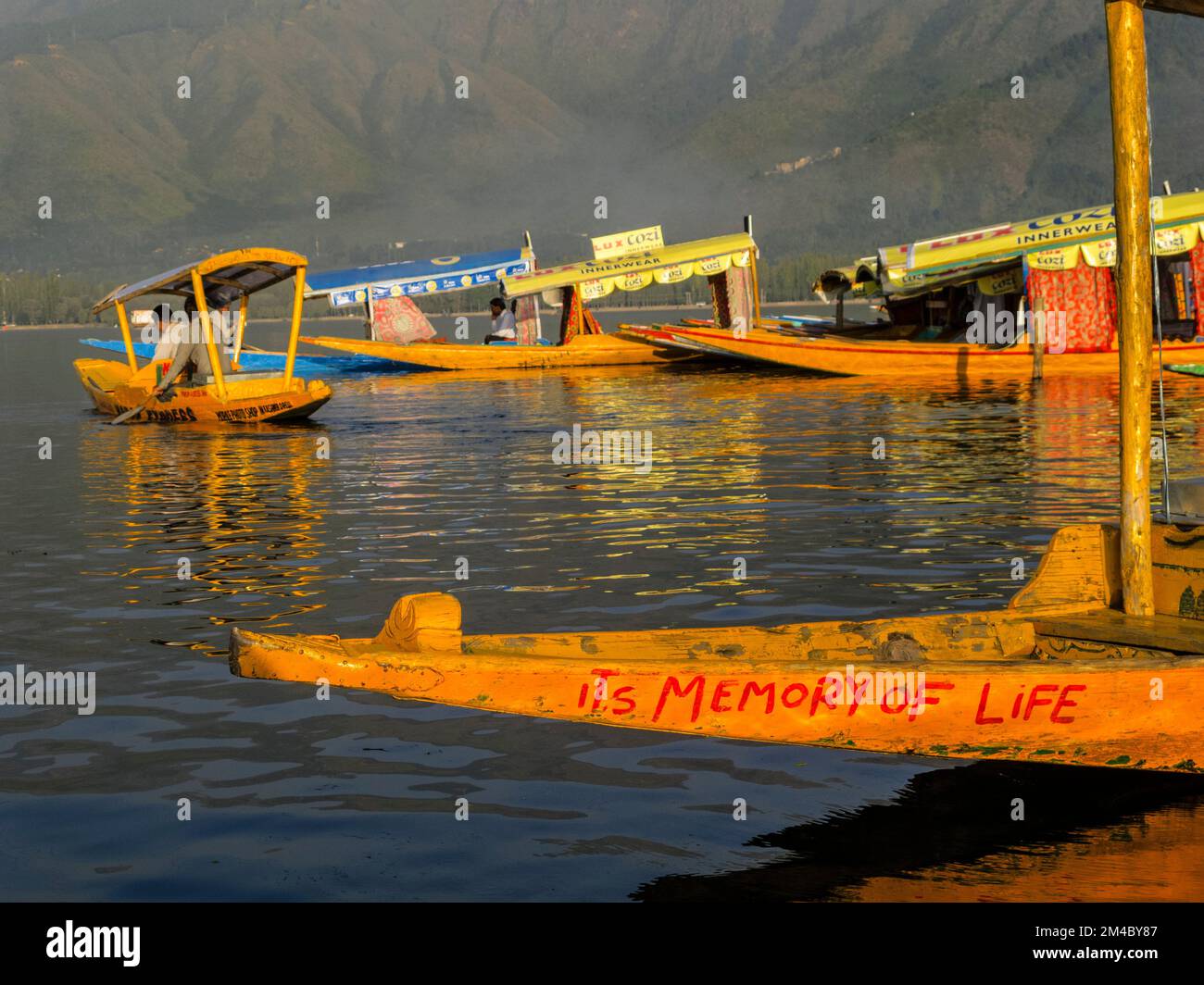 Confortevole shikaras sono famose per un rilassato bootride su dal lago Foto Stock