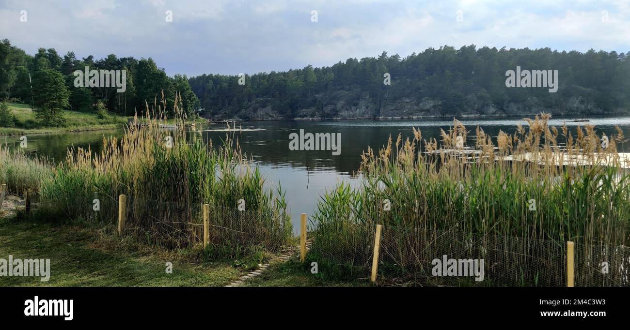 Vista panoramica su un lago circondato da boschi decidui Foto Stock