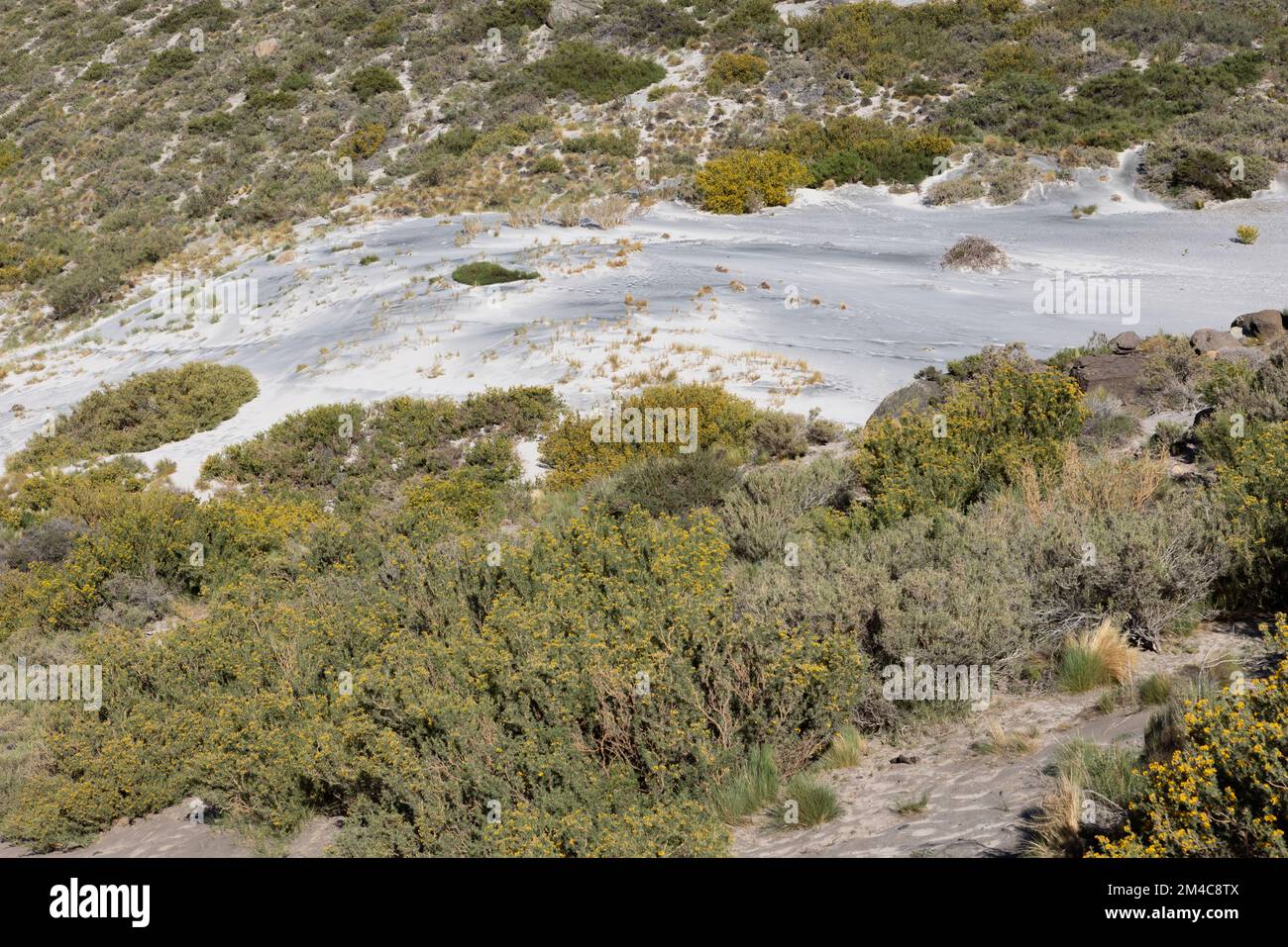 Paesaggio con dune e aree sabbiose a Paso Vergara - attraversando il confine dal Cile all'Argentina durante il viaggio in Sud America Foto Stock