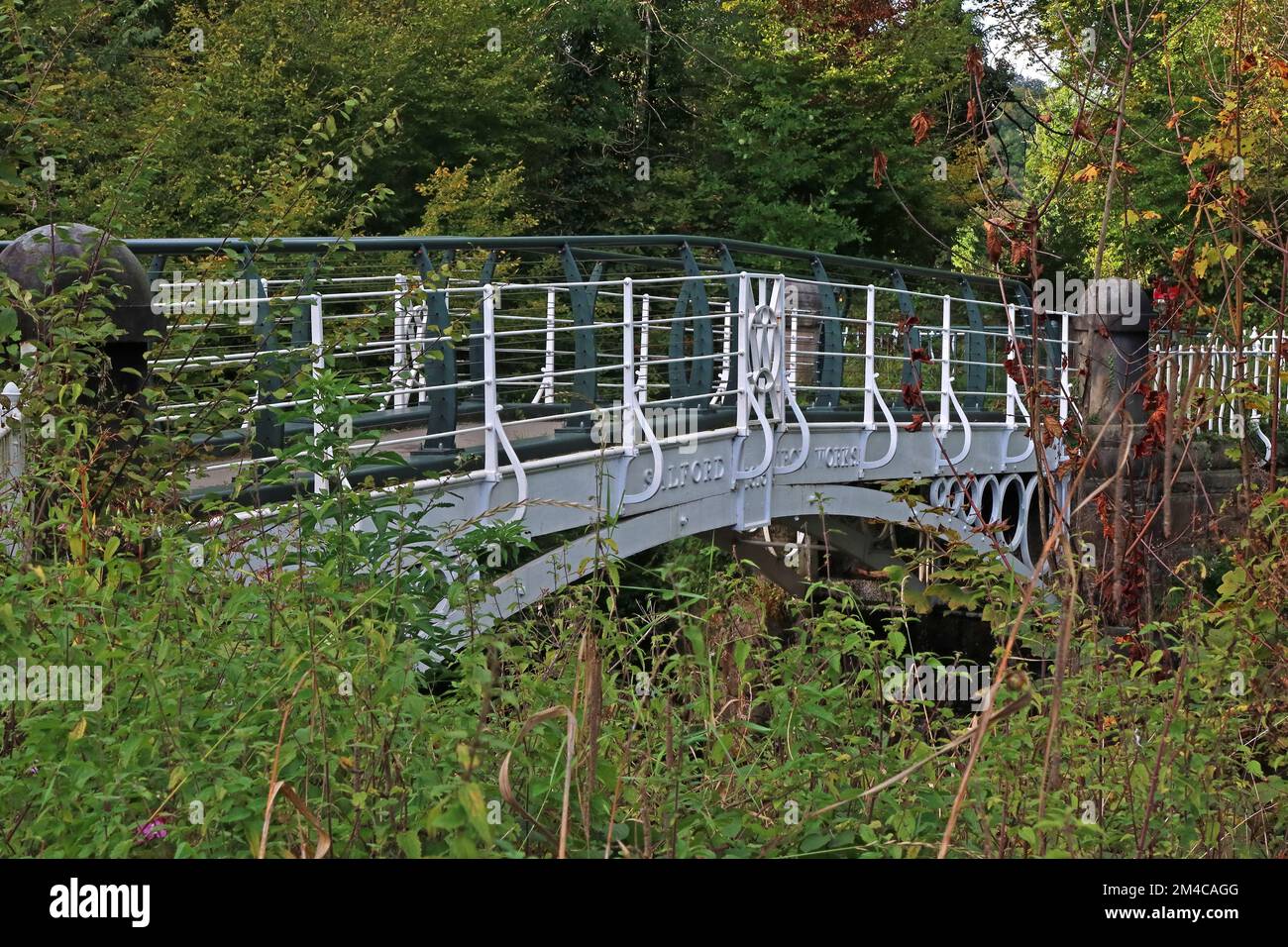 Iron Bridge 1813, attraversando il fiume Goyt, nel Parco di Brabyns, Marple, Stockport, Cheshire, Inghilterra, Regno Unito, SK6 5DT Foto Stock