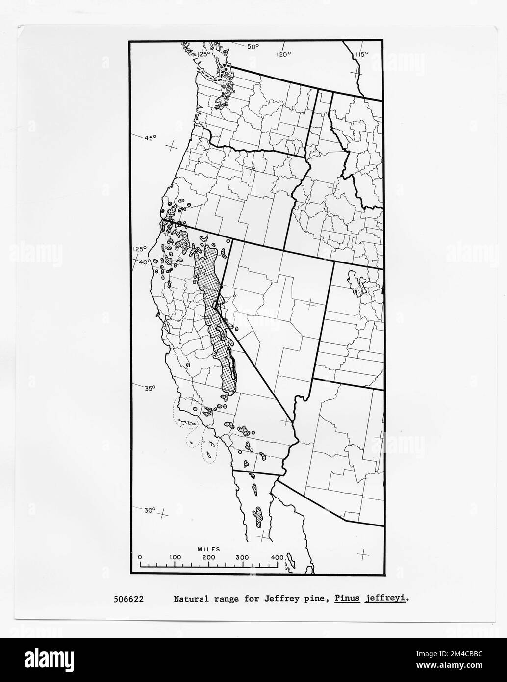 Mappe e grafici - tutti gli stati. Fotografie relative alle foreste nazionali, alle pratiche di gestione delle risorse, al personale e alla storia culturale ed economica Foto Stock