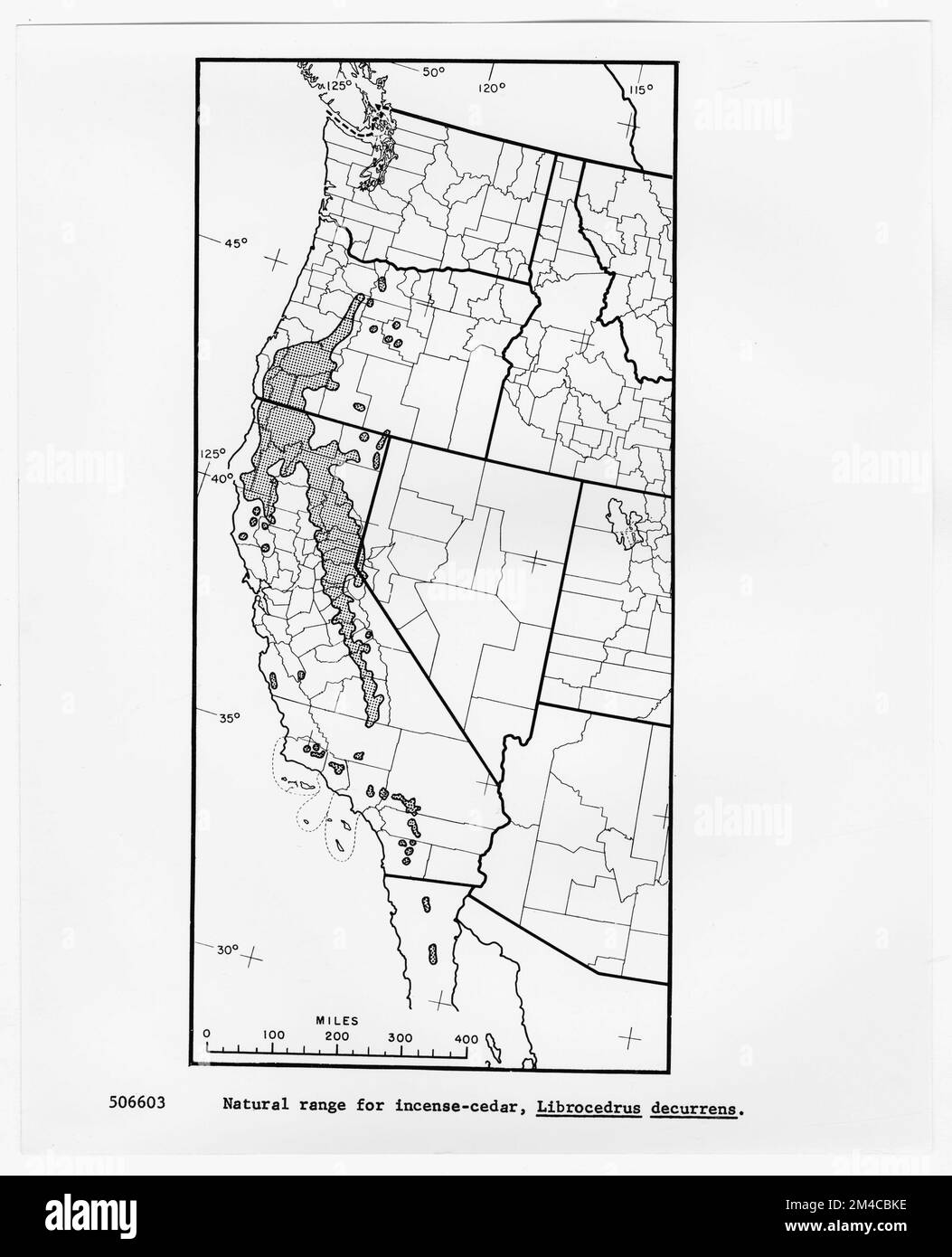 Mappe e grafici - tutti gli stati. Fotografie relative alle foreste nazionali, alle pratiche di gestione delle risorse, al personale e alla storia culturale ed economica Foto Stock