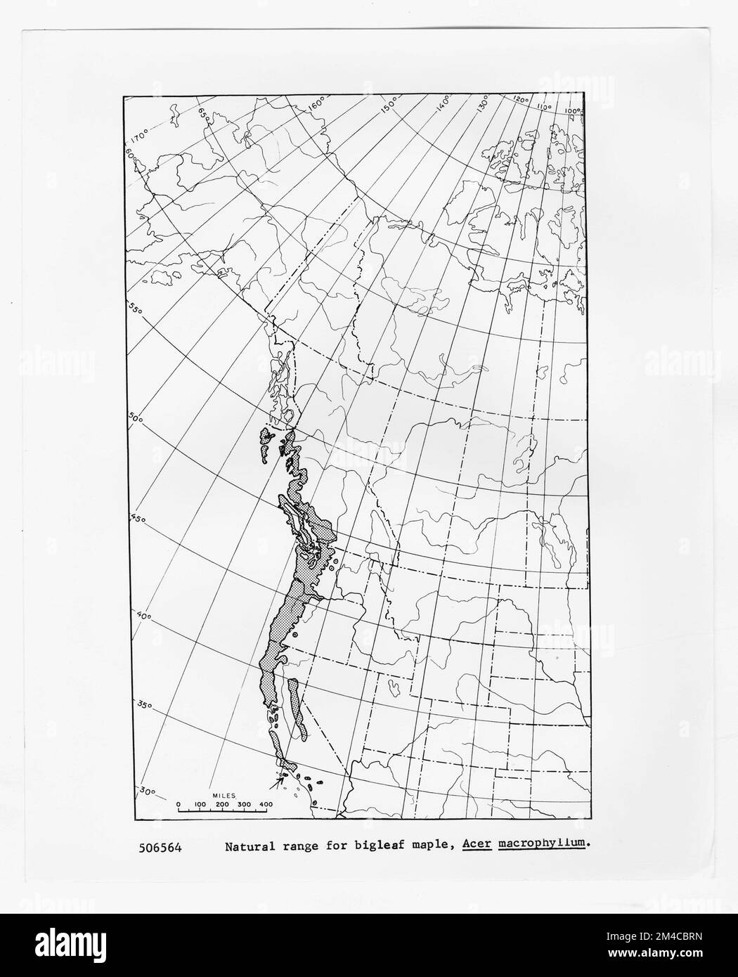 Mappe e grafici - tutti gli stati. Fotografie relative alle foreste nazionali, alle pratiche di gestione delle risorse, al personale e alla storia culturale ed economica Foto Stock