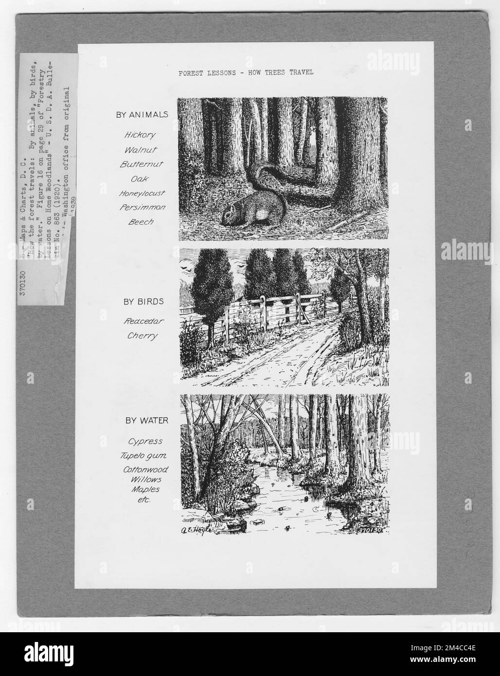 Mappe e grafici - tutti gli stati. Fotografie relative alle foreste nazionali, alle pratiche di gestione delle risorse, al personale e alla storia culturale ed economica Foto Stock