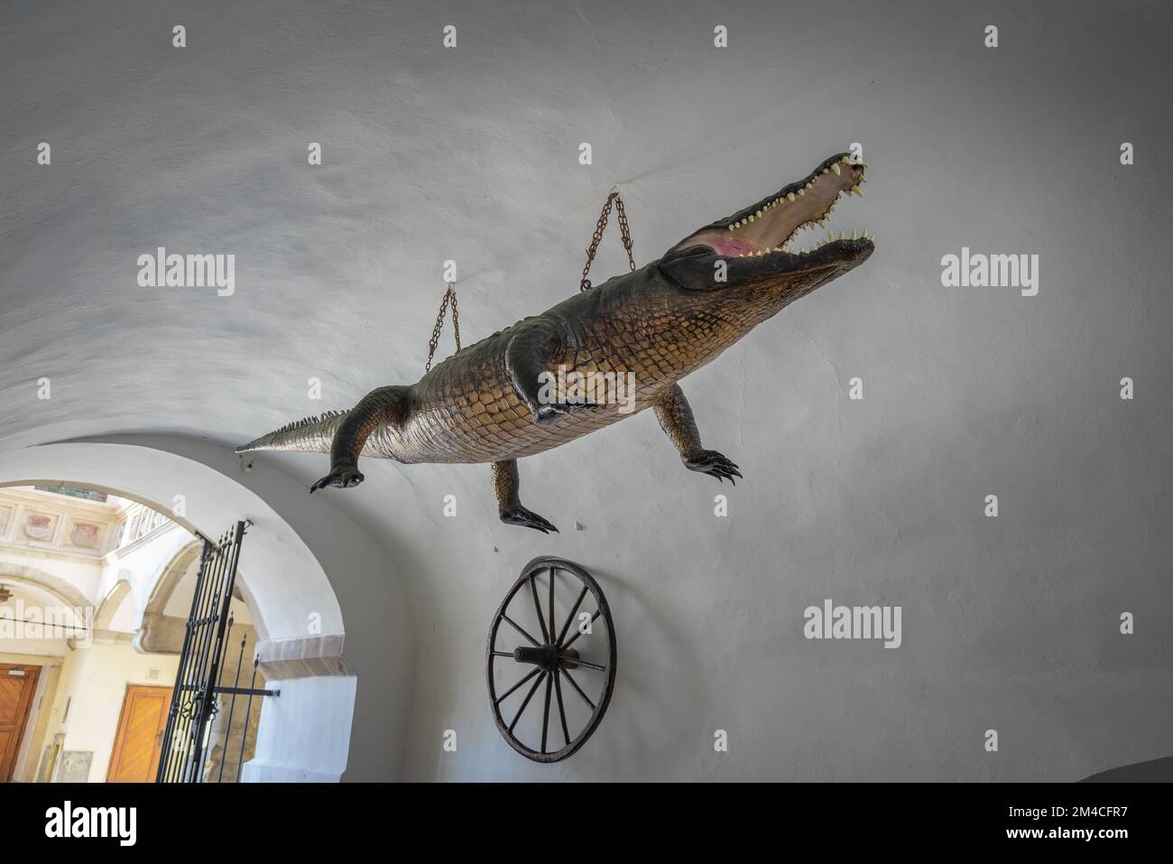 Drago di Brno e ruota di Brno al Vecchio Municipio - Brno, Repubblica Ceca Foto Stock