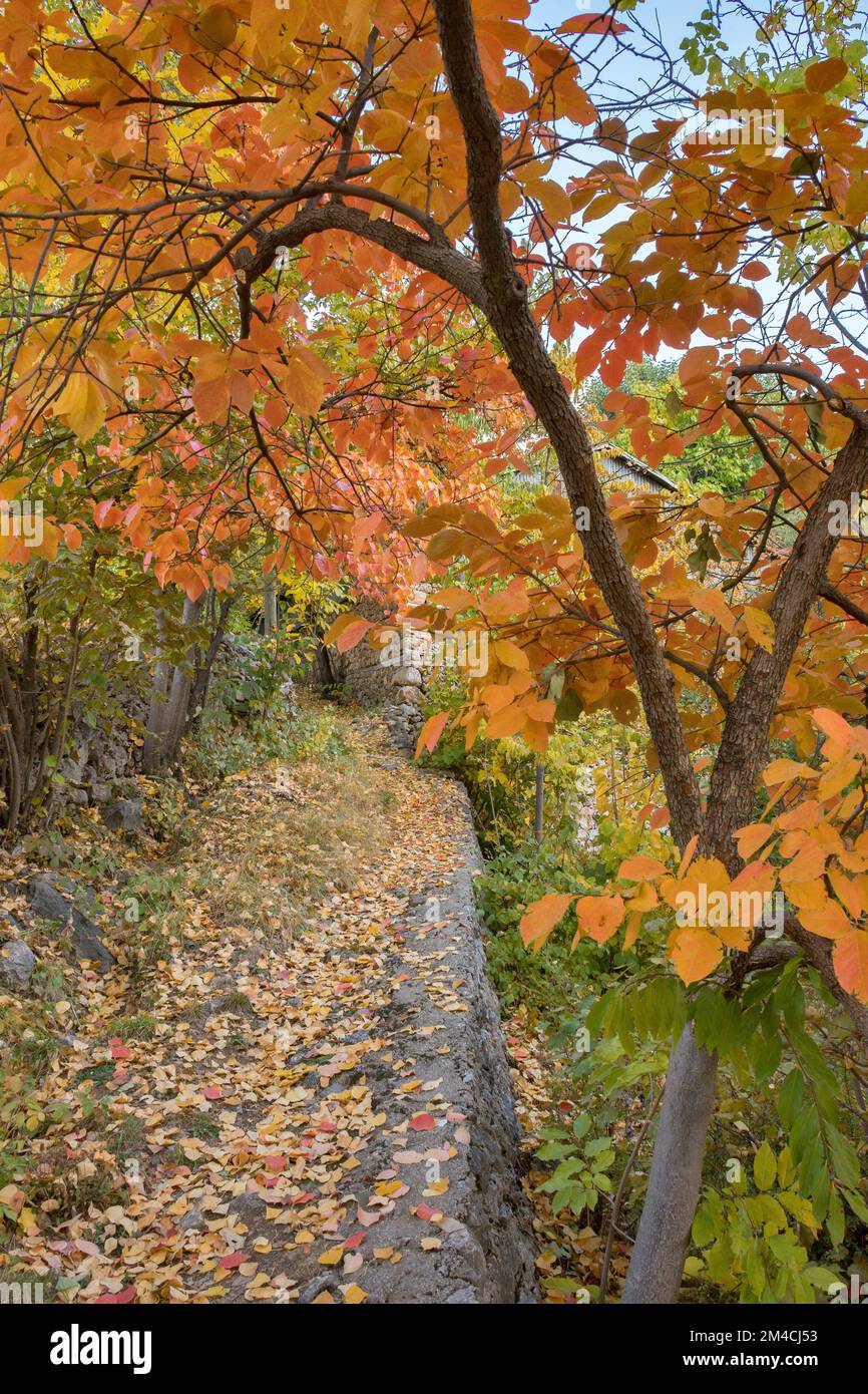 Kemaliye (Egin), Erzincan, Anatolia Orientale della Turchia Foto Stock