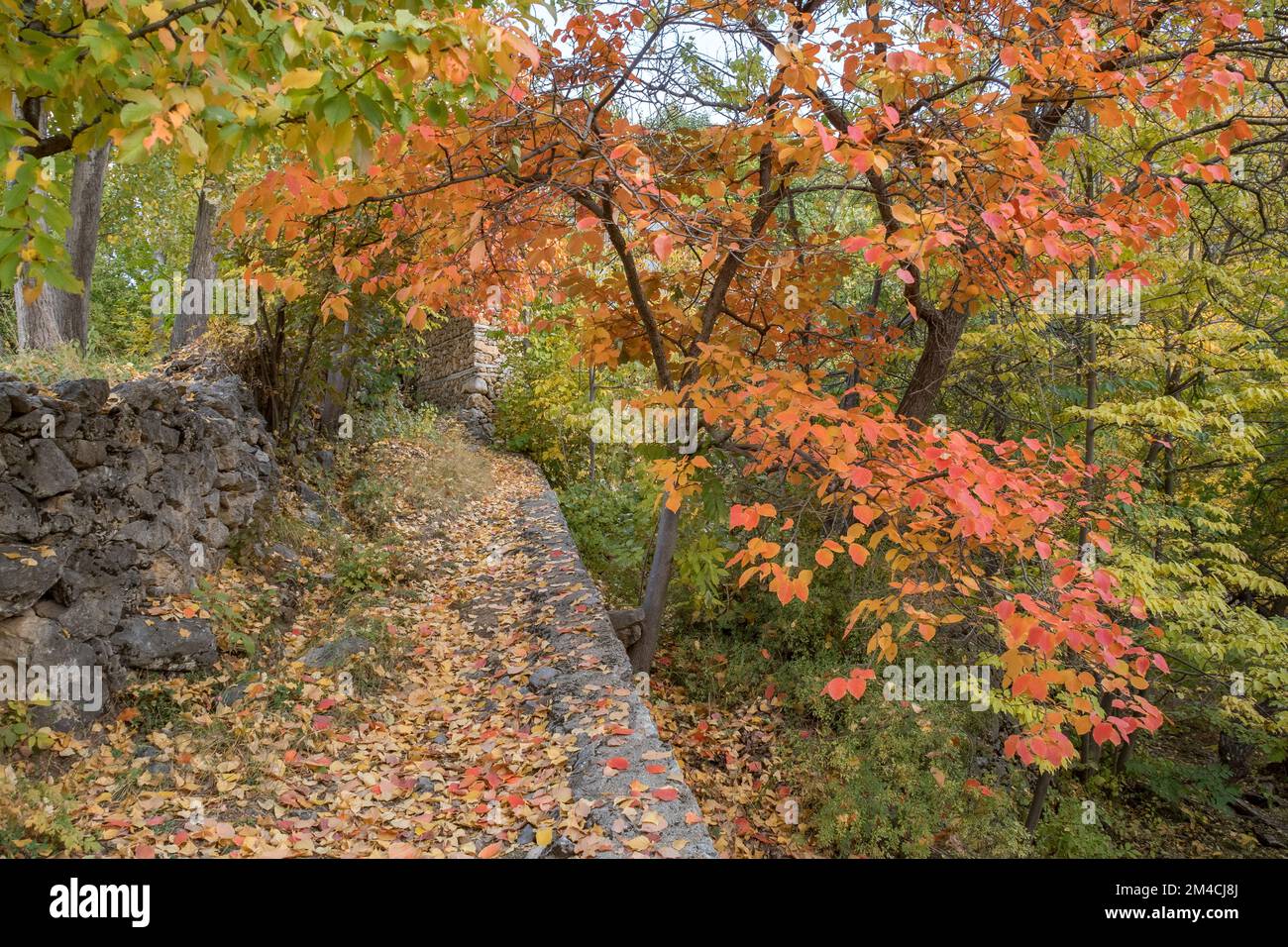 Kemaliye (Egin), Erzincan, Anatolia Orientale della Turchia Foto Stock
