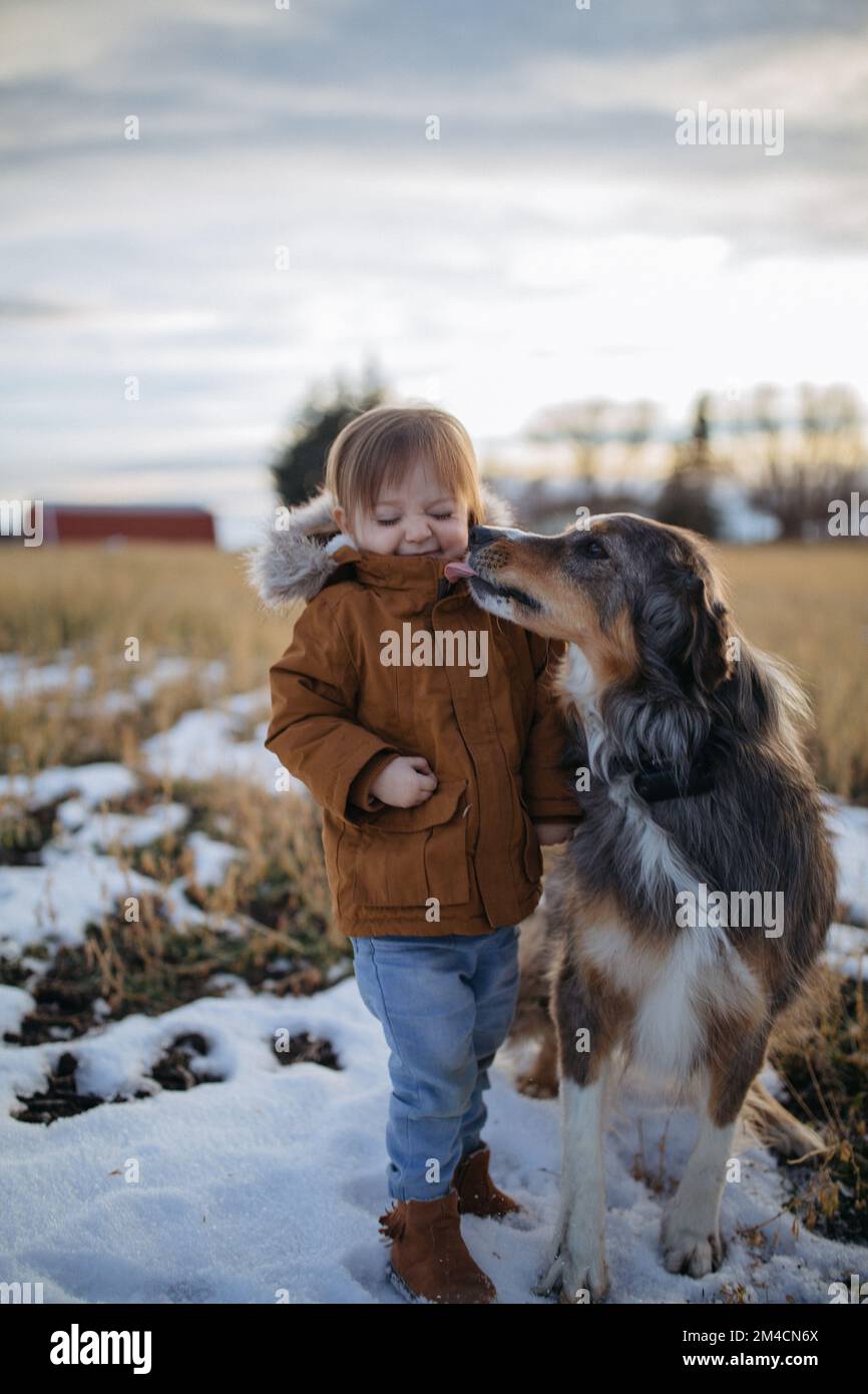 Cane leccando il volto di una bambina fuori in inverno dentro Foto Stock