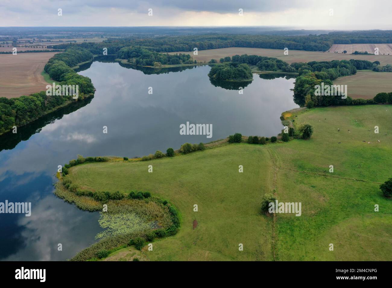 Behlendorfer See, Behlendorfer Wald, Behlendorf, Herzogtum-Lauenburg, Schleswig-Holstein, Germania Foto Stock