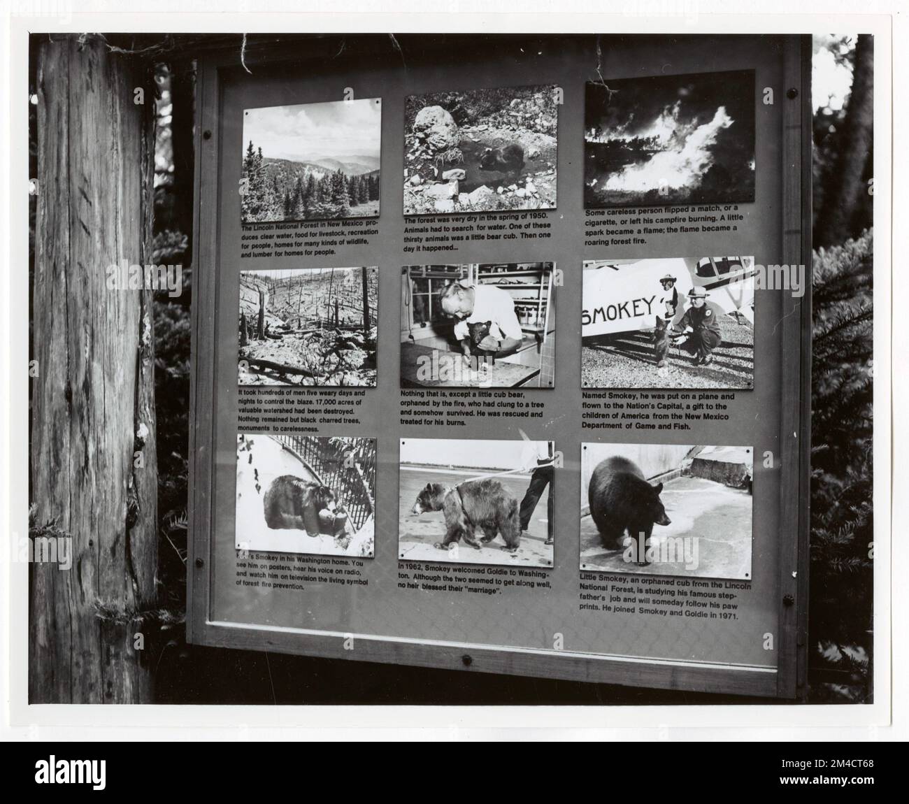 Il programma CFFP mostra - tutti gli stati. Fotografie relative alle foreste nazionali, alle pratiche di gestione delle risorse, al personale e alla storia culturale ed economica Foto Stock