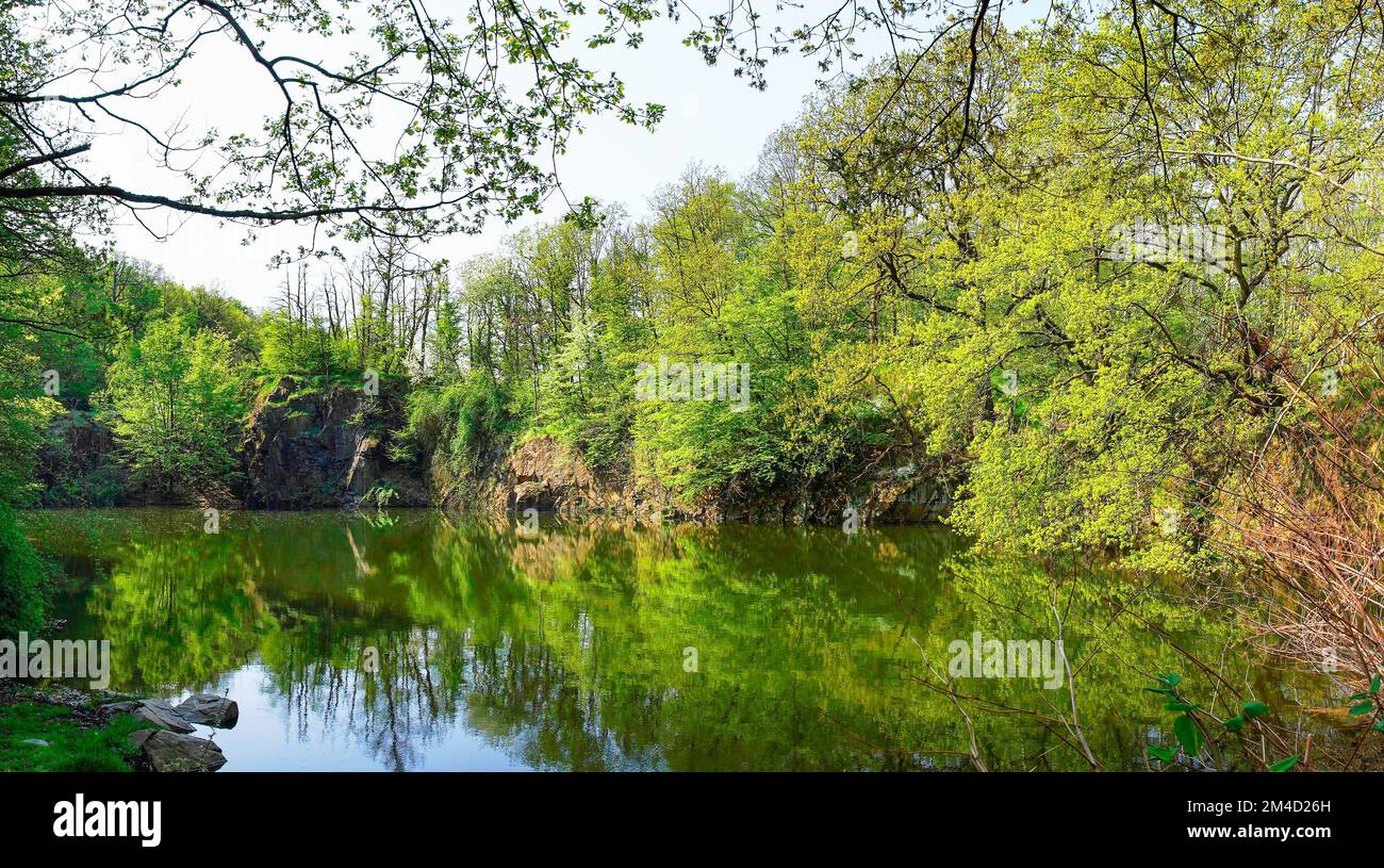 Riserva naturale di Ammelshain Quarry. Idilliaco laghetto con rocce e vegetazione verde. Foto Stock