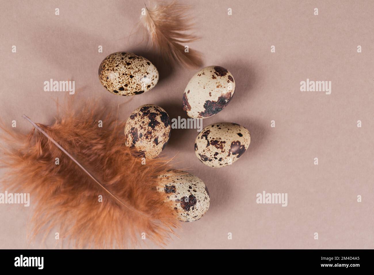 Carta di Pasqua felice con uova e piume di colore naturale Foto Stock