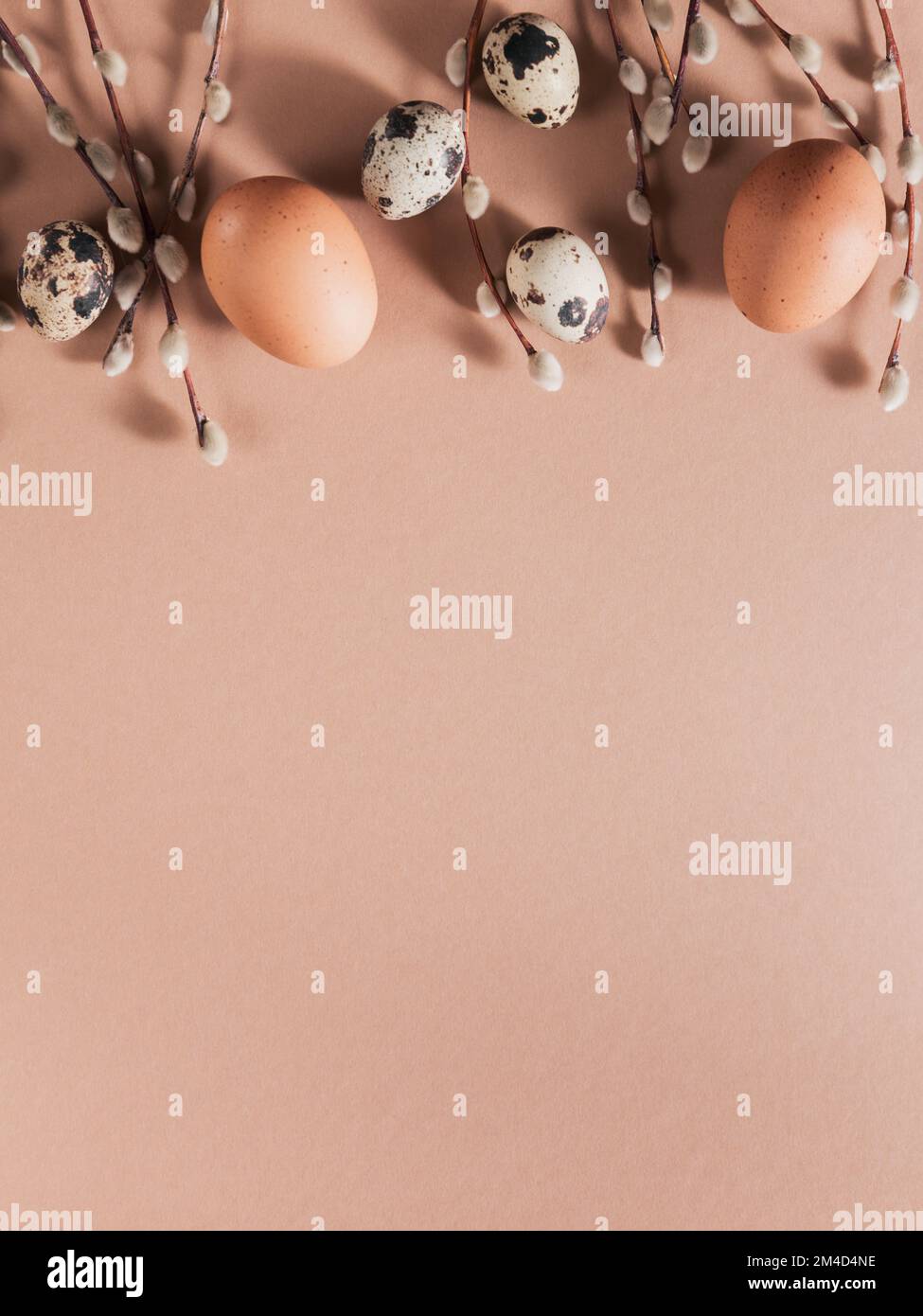 Sfondo pasquale con uova di colore naturale e piume marroni Foto Stock