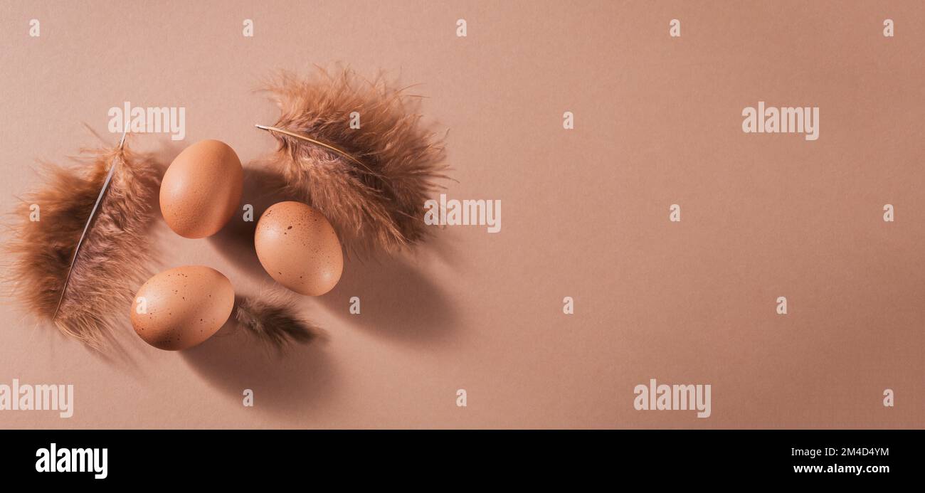 Lungo banner panoramico di uova brune di pollo su sfondo beige. Foto Stock