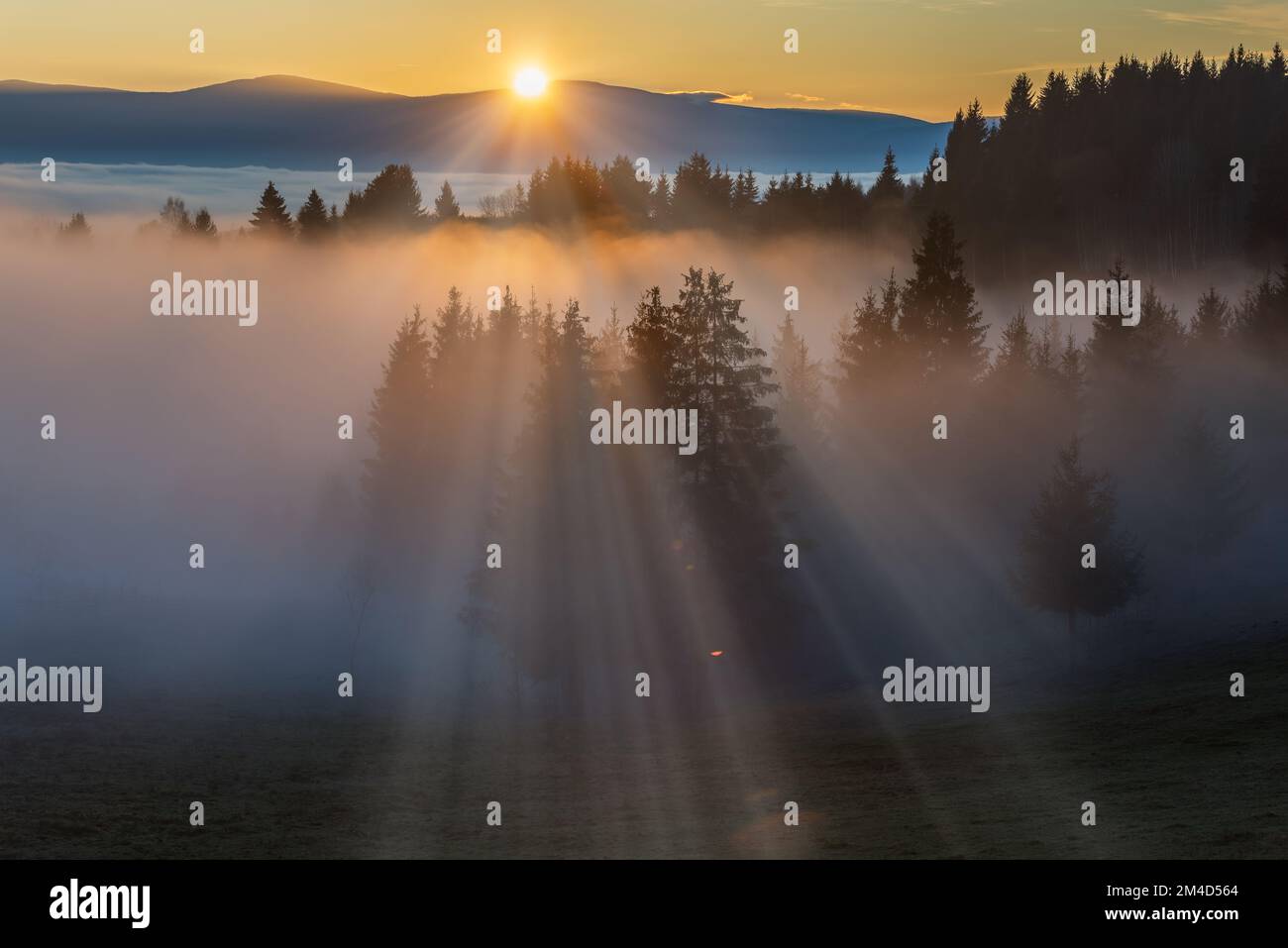 Nebbia divisa dai raggi del sole. Un'immagine paesaggistica di un'alba nebbiosa. Una bella alba su una montagna nebbiosa. Foto Stock