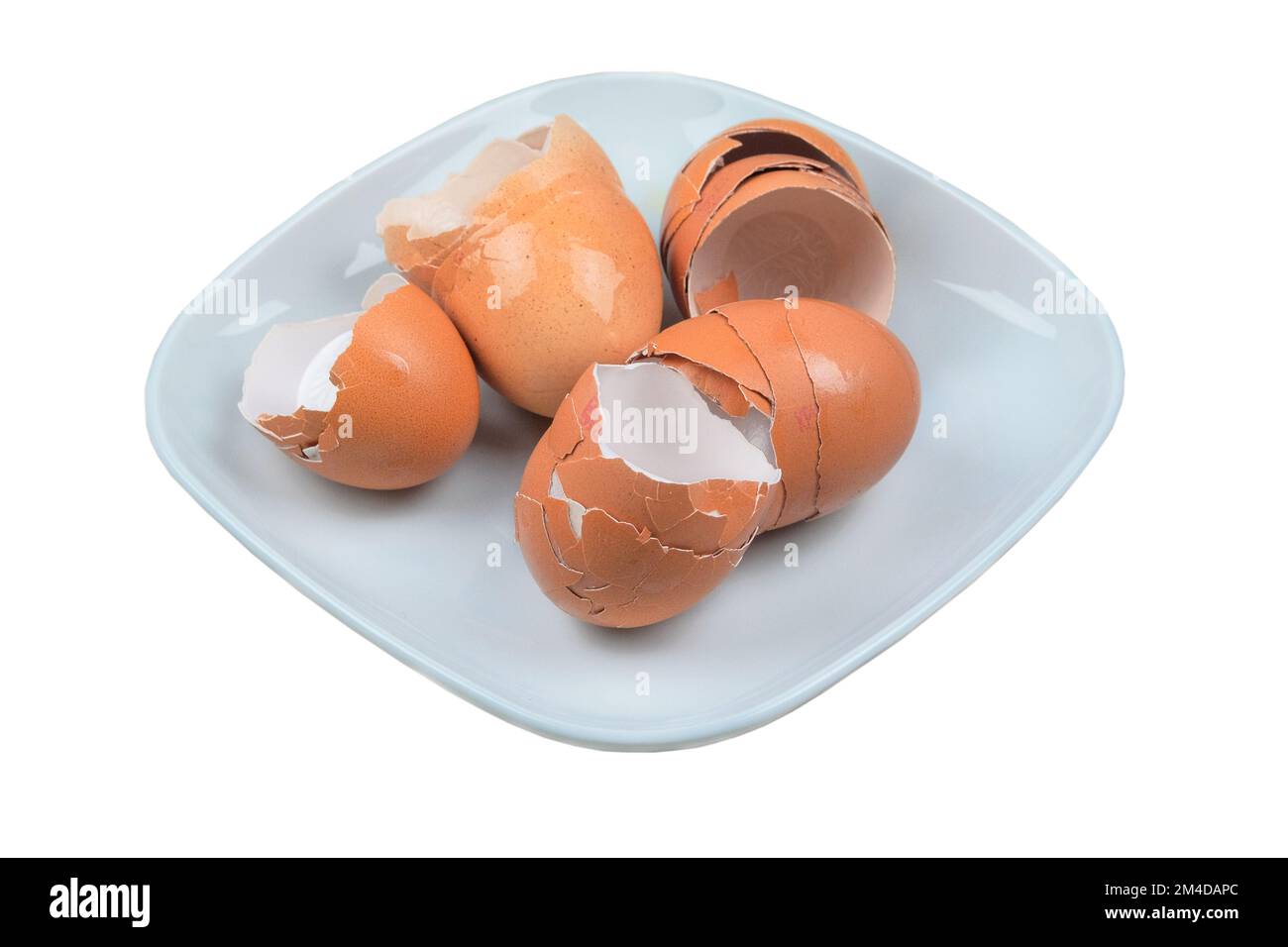 Guscio di uova in un piatto isolato su sfondo bianco. Rifiuti organici per compost. Foto Stock