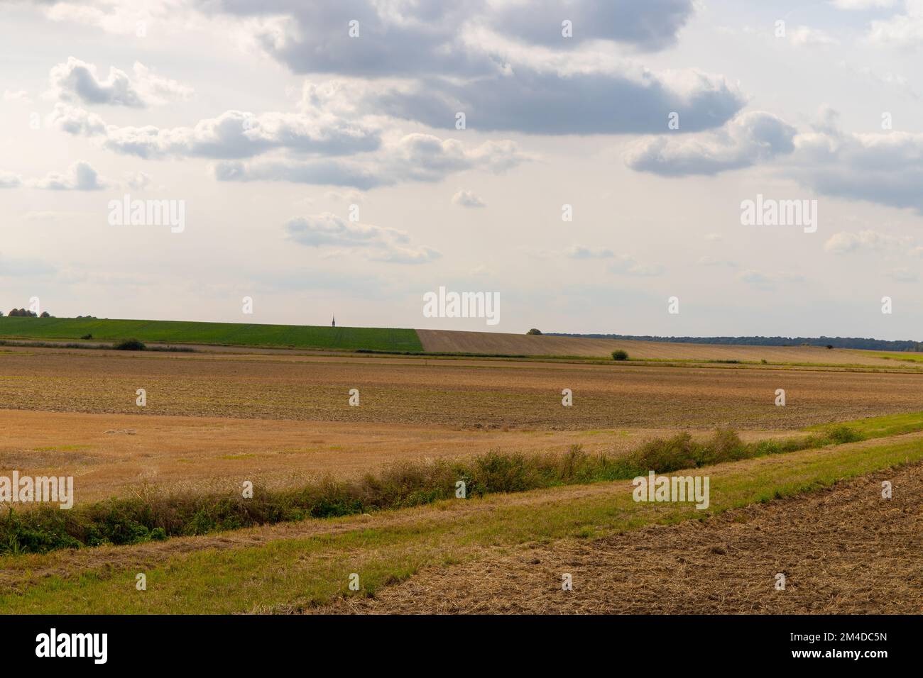 Vista panoramica di un campo con alberi in fila e rotolo di paglia. Foto di alta qualità Foto Stock