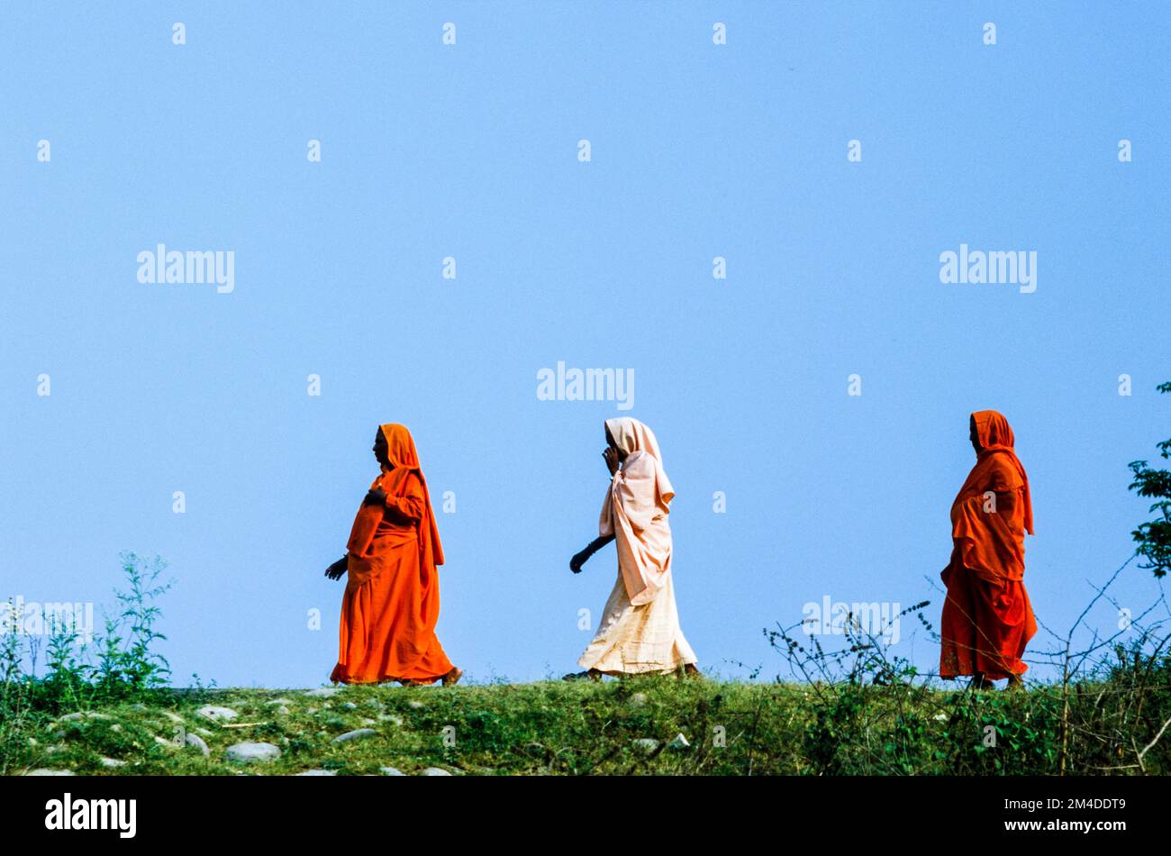 Donna Sadhus che torna al loro ashram vicino Haridwar Foto Stock