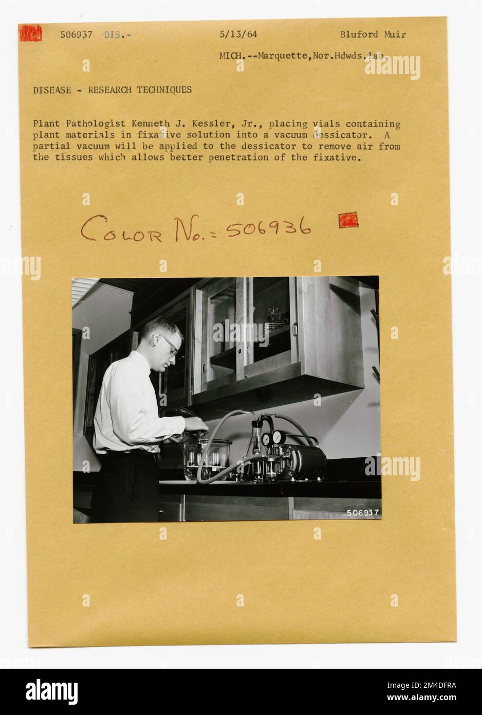 Malattie della foresta - Generale. Fotografie relative alle foreste nazionali, alle pratiche di gestione delle risorse, al personale e alla storia culturale ed economica Foto Stock