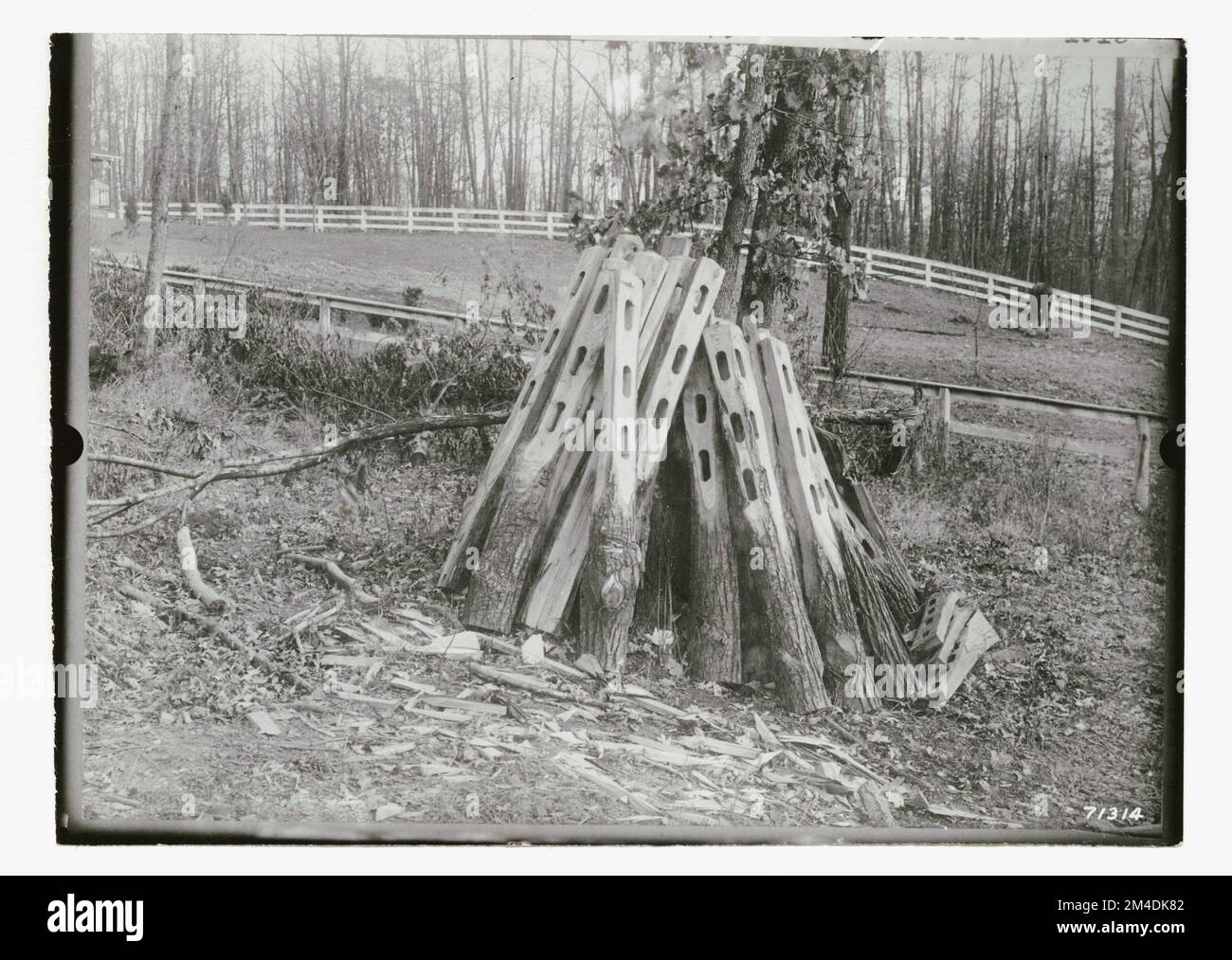 Prodotti vari in legno - Pali. Fotografie relative alle foreste nazionali, alle pratiche di gestione delle risorse, al personale e alla storia culturale ed economica Foto Stock