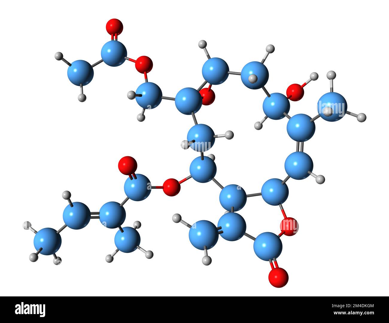 3D immagine di Rotundin formula scheletrica - struttura chimica molecolare di fitochimica isolata su sfondo bianco Foto Stock