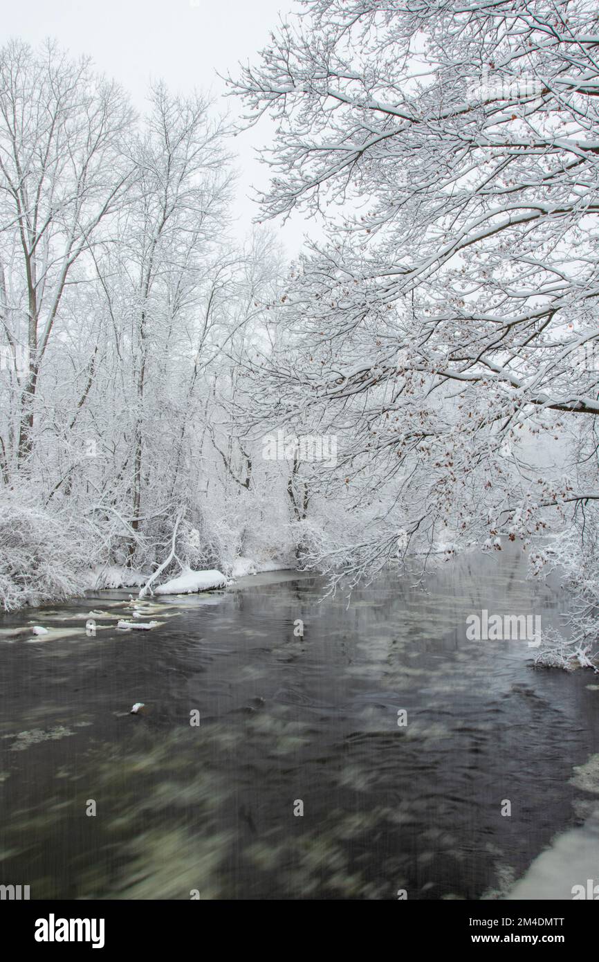 Fresca tempesta di neve bianca nel cuore di un inverno del Midwest Foto Stock