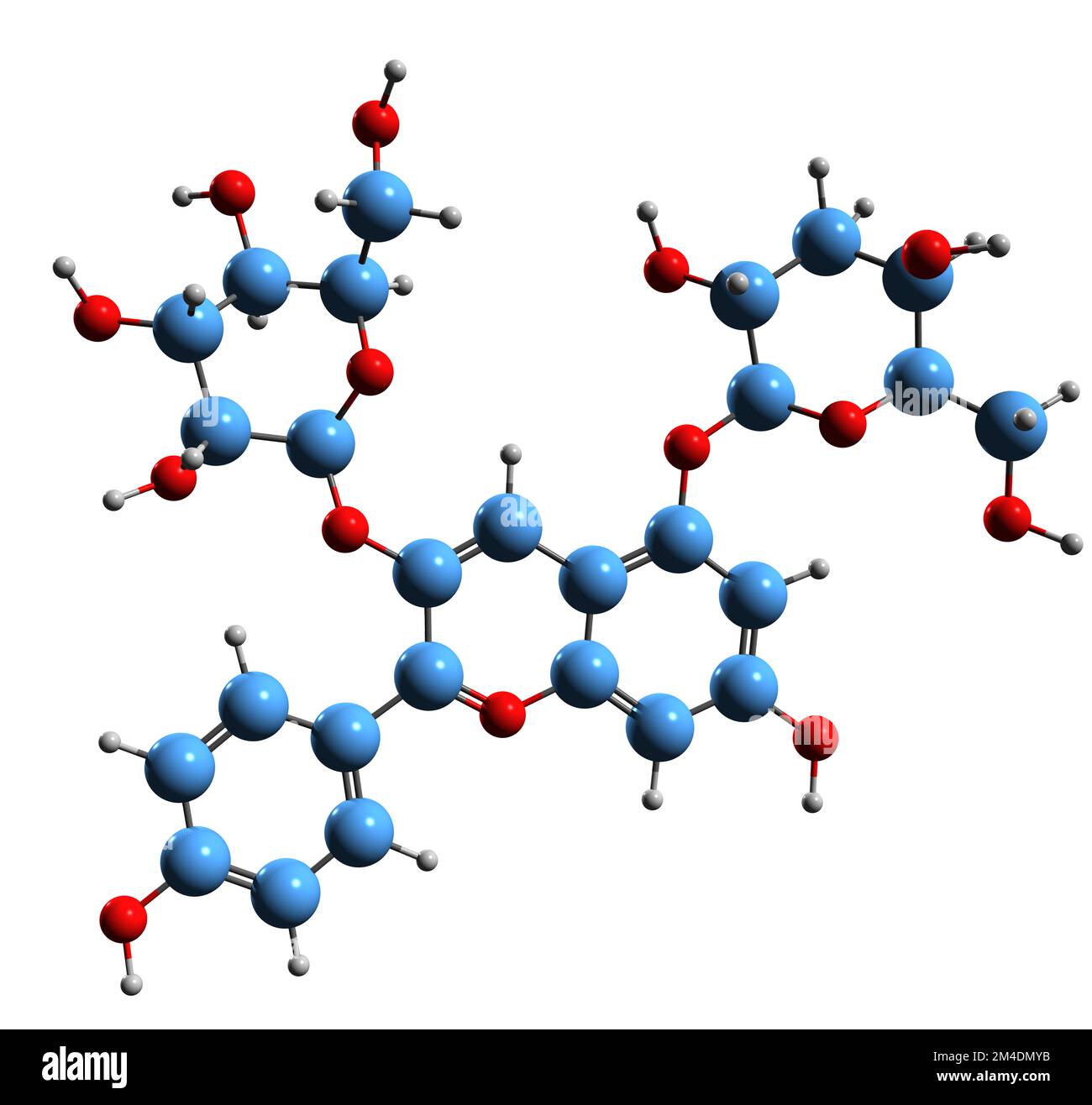 3D immagine della formula scheletrica della Pelargonina - struttura chimica molecolare dell'antocianina isolata su sfondo bianco Foto Stock