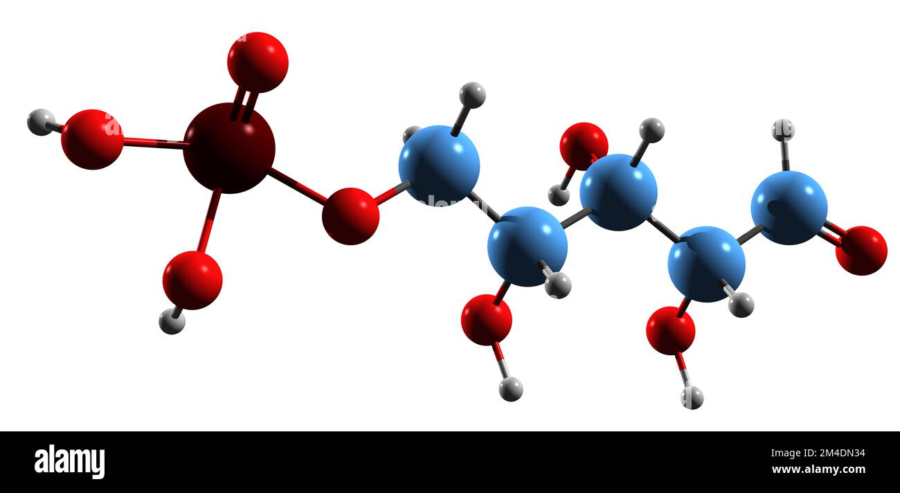 3D immagine di Ribose 5-fosfato formula scheletrica - struttura chimica molecolare del percorso intermedio del pentosio fosfato isolato su backgrou bianco Foto Stock