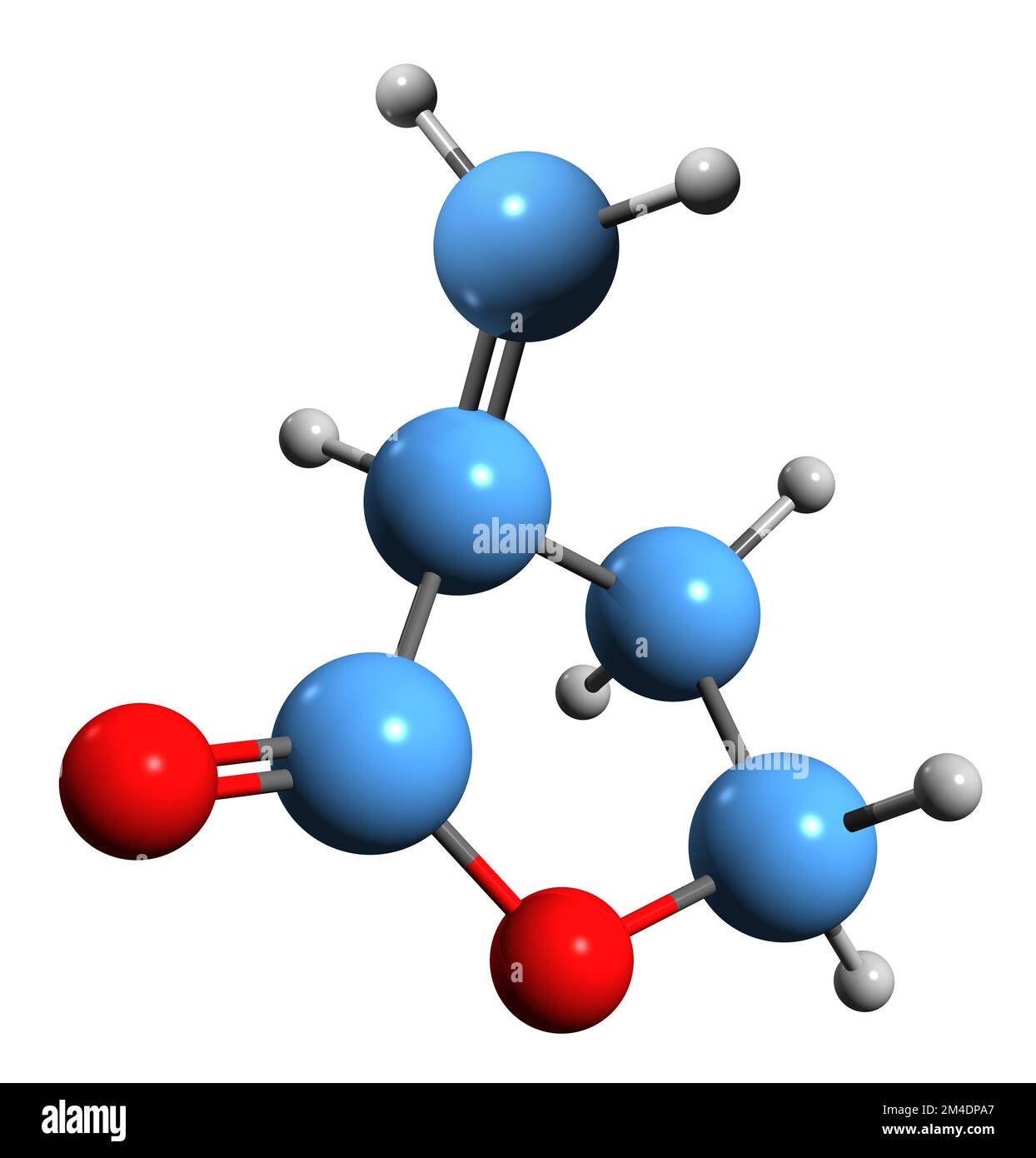 3D immagine di Tulipalin Una formula scheletrica - struttura chimica molecolare di 3-metilideneoxolan-2-one isolato su sfondo bianco Foto Stock