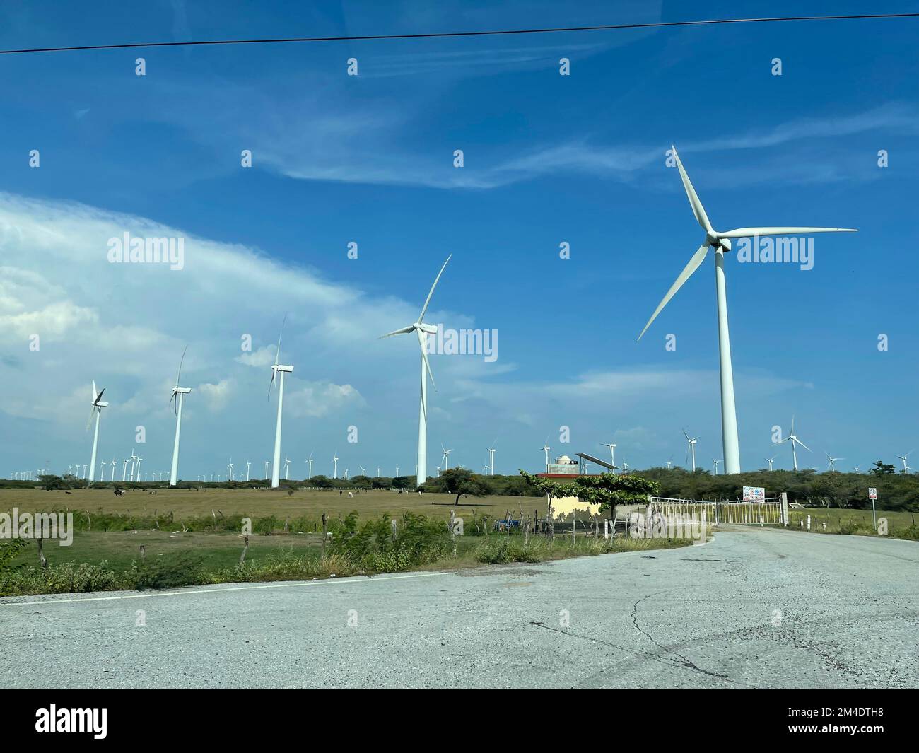 Parque Eolico, turbine eoliche o aerogeneratori per energia a la Ventosa Oaxaca Messico (Foto del Nord) Parque Eolico, turbina eólica o aerogeneradores de energia en la Ventosa Oaxaca Messico (Foto por Norte foto) Foto Stock