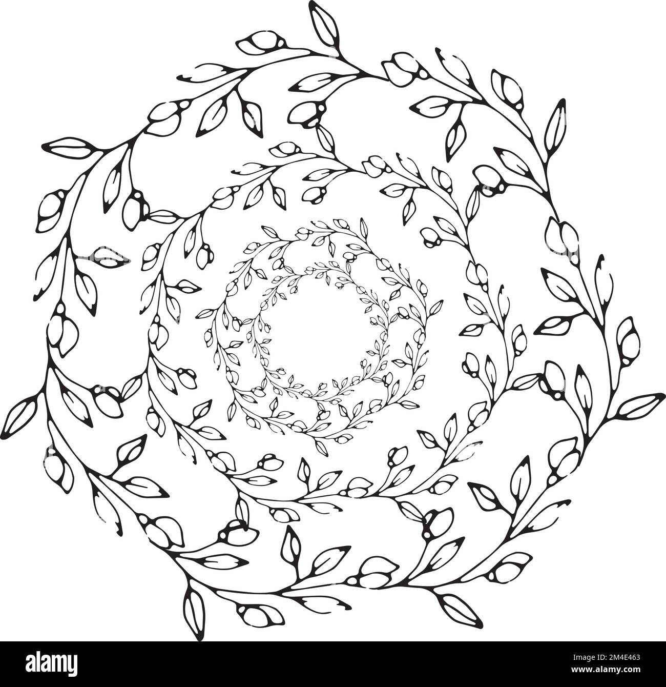 Rami di piante vettoriali grafiche con fiori. gemme e bacche Illustrazione Vettoriale