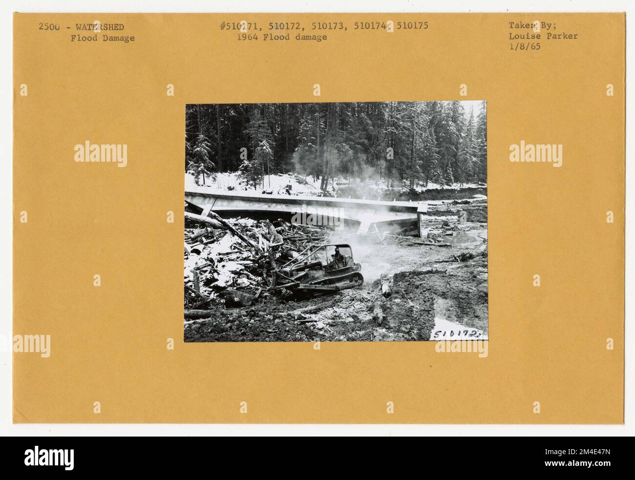 Effetto di erosione - Generale. Fotografie relative alle foreste nazionali, alle pratiche di gestione delle risorse, al personale e alla storia culturale ed economica Foto Stock