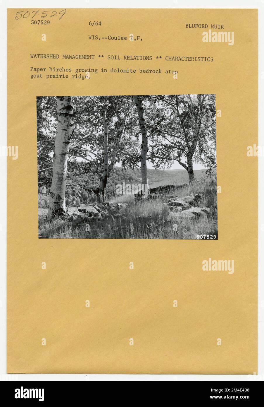 Suoli - Generale. Fotografie relative alle foreste nazionali, alle pratiche di gestione delle risorse, al personale e alla storia culturale ed economica Foto Stock