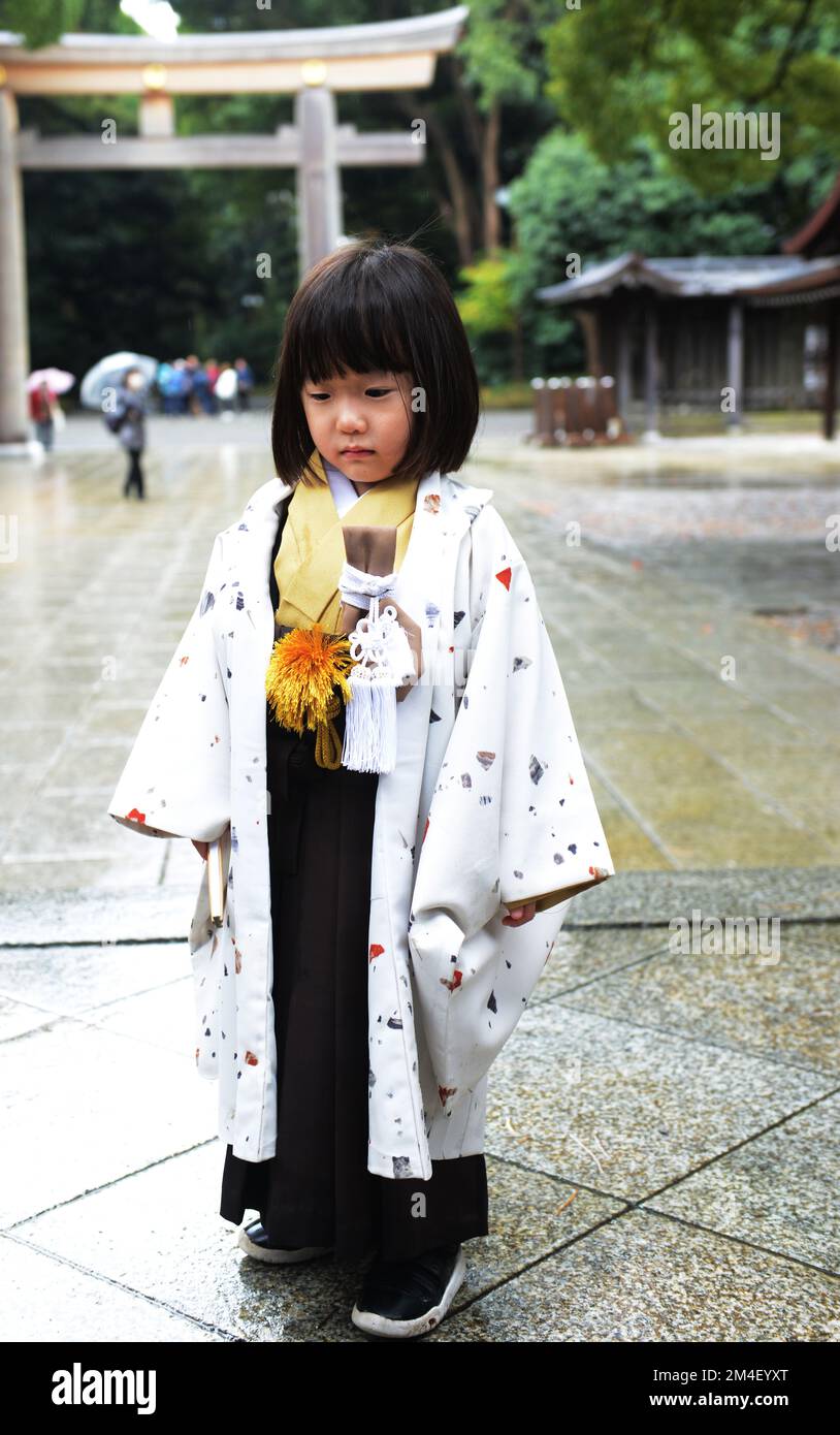 Shichi-Go-San (Festival giapponese del rito di passaggio) nel Santuario Meiji, Tokyo, Giappone. Foto Stock