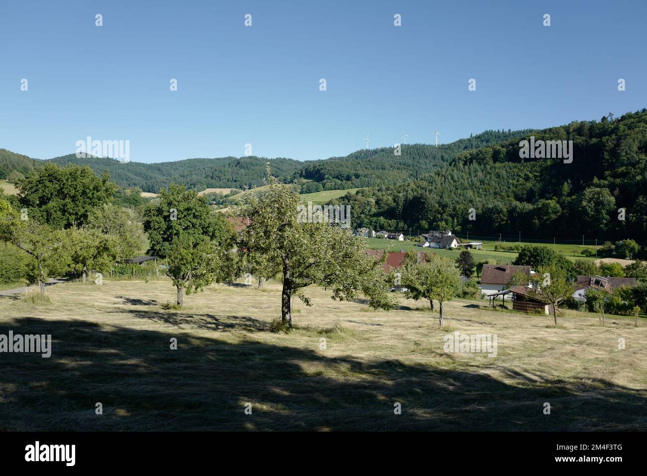 Villaggio ai piedi della Foresta Nera Foto Stock