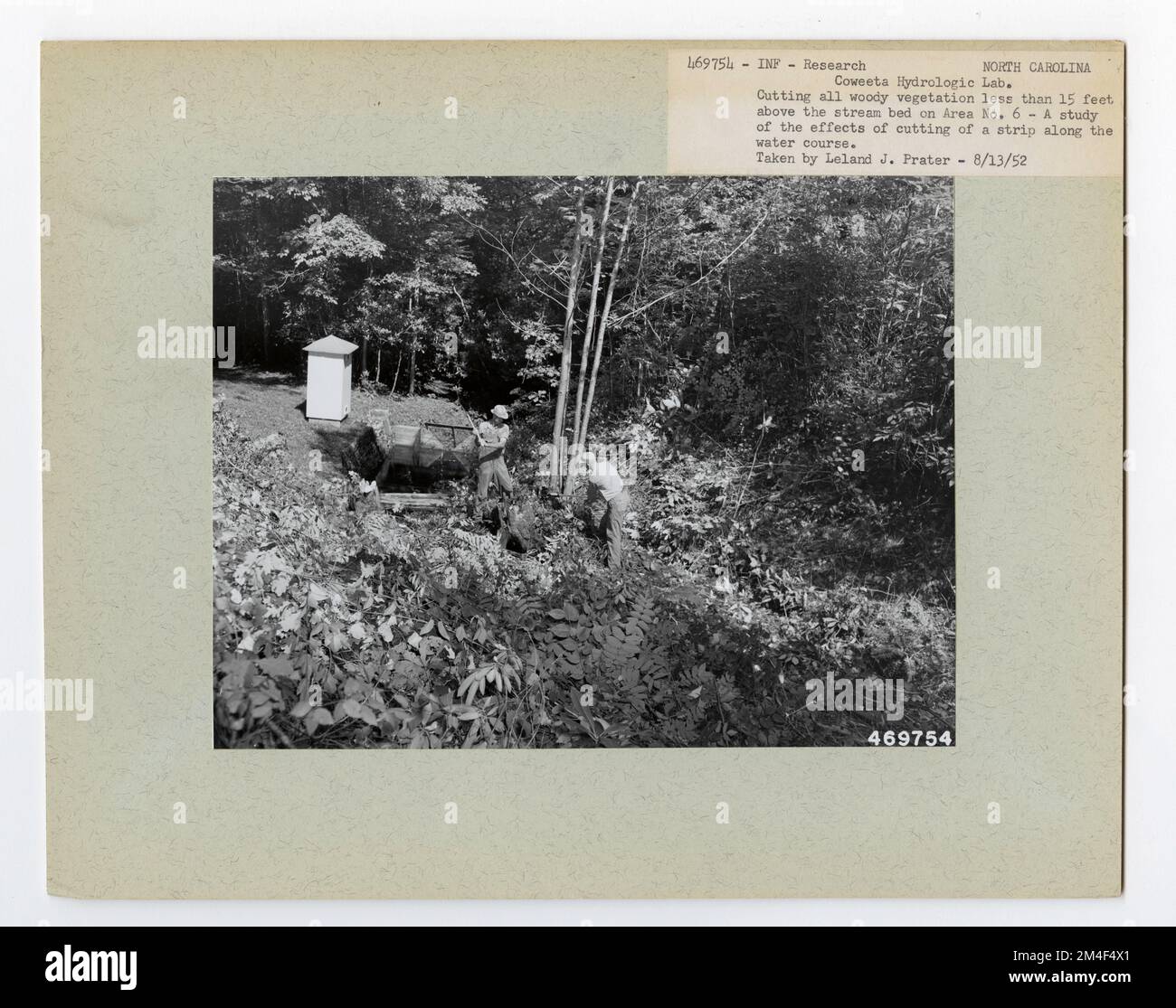 Studi Streamflow - Carolina del Nord. Fotografie relative alle foreste nazionali, alle pratiche di gestione delle risorse, al personale e alla storia culturale ed economica Foto Stock