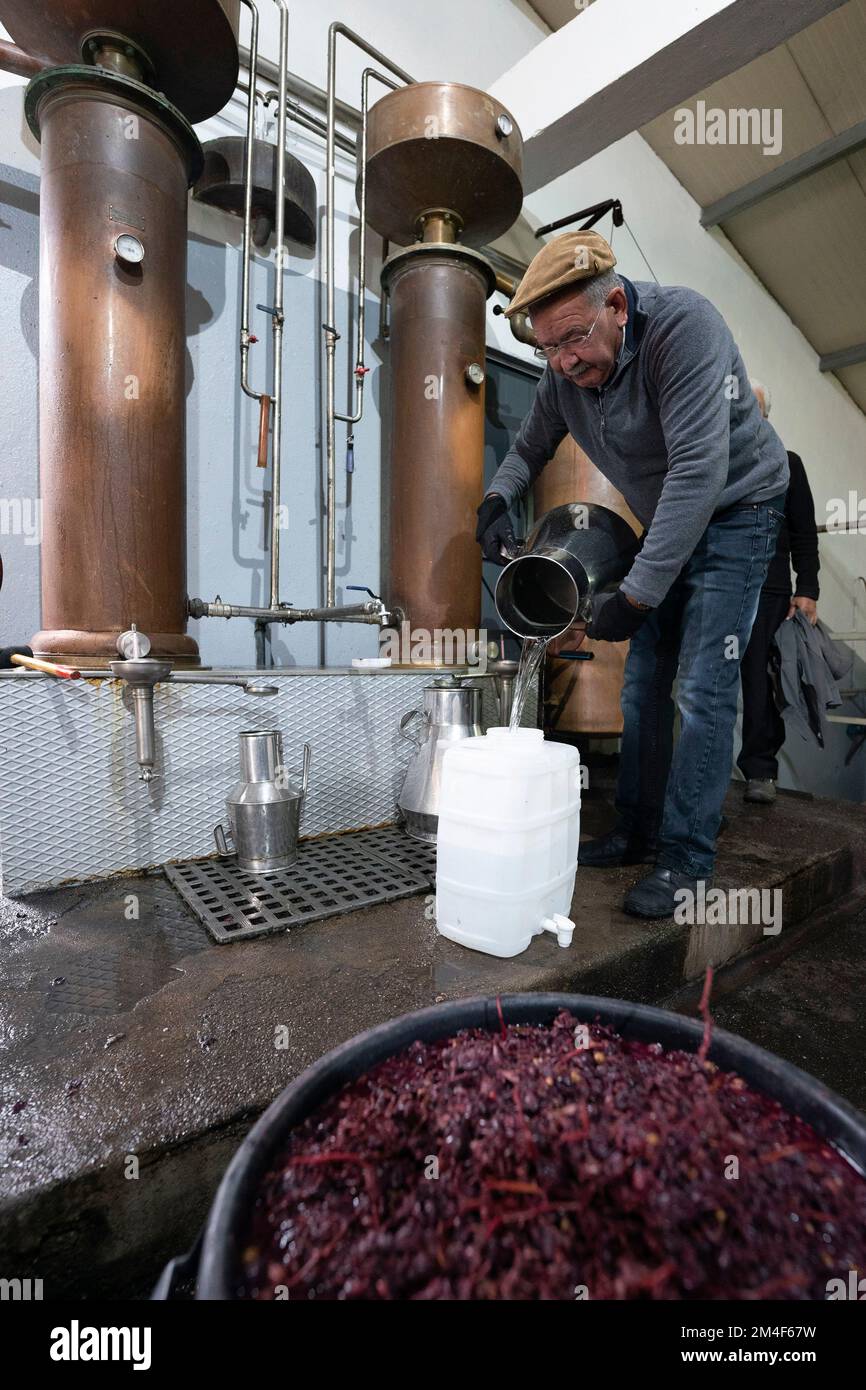 Uomo che produce il tradizionale brandy portoghese Aguardente da vinacce in rame ancora in una vecchia distilleria di Oleiros, Portogallo, Europa Foto Stock