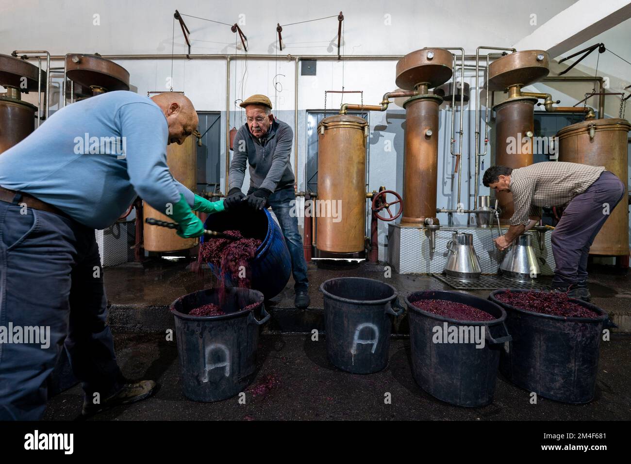 I lavoratori preparano le vinacce d'uva per preparare il tradizionale brandy portoghese Aguardente negli alambicchi di una vecchia distilleria di Oleiros, Portogallo Foto Stock