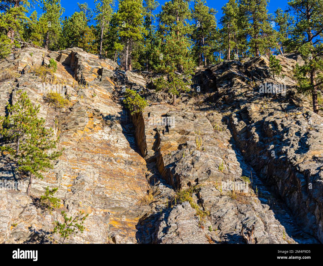 Scogliere di granito boschive sopra Spring Creek, Hill City, South Dakota, USA Foto Stock