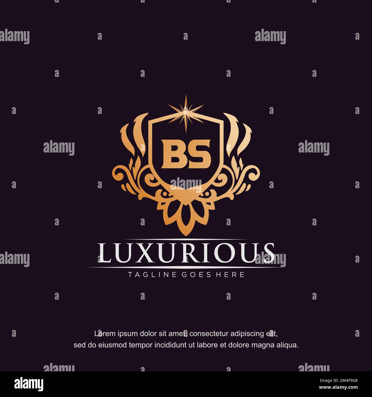 BS lettera iniziale lusso ornamento oro monogramma logo modello vettore. Illustrazione Vettoriale