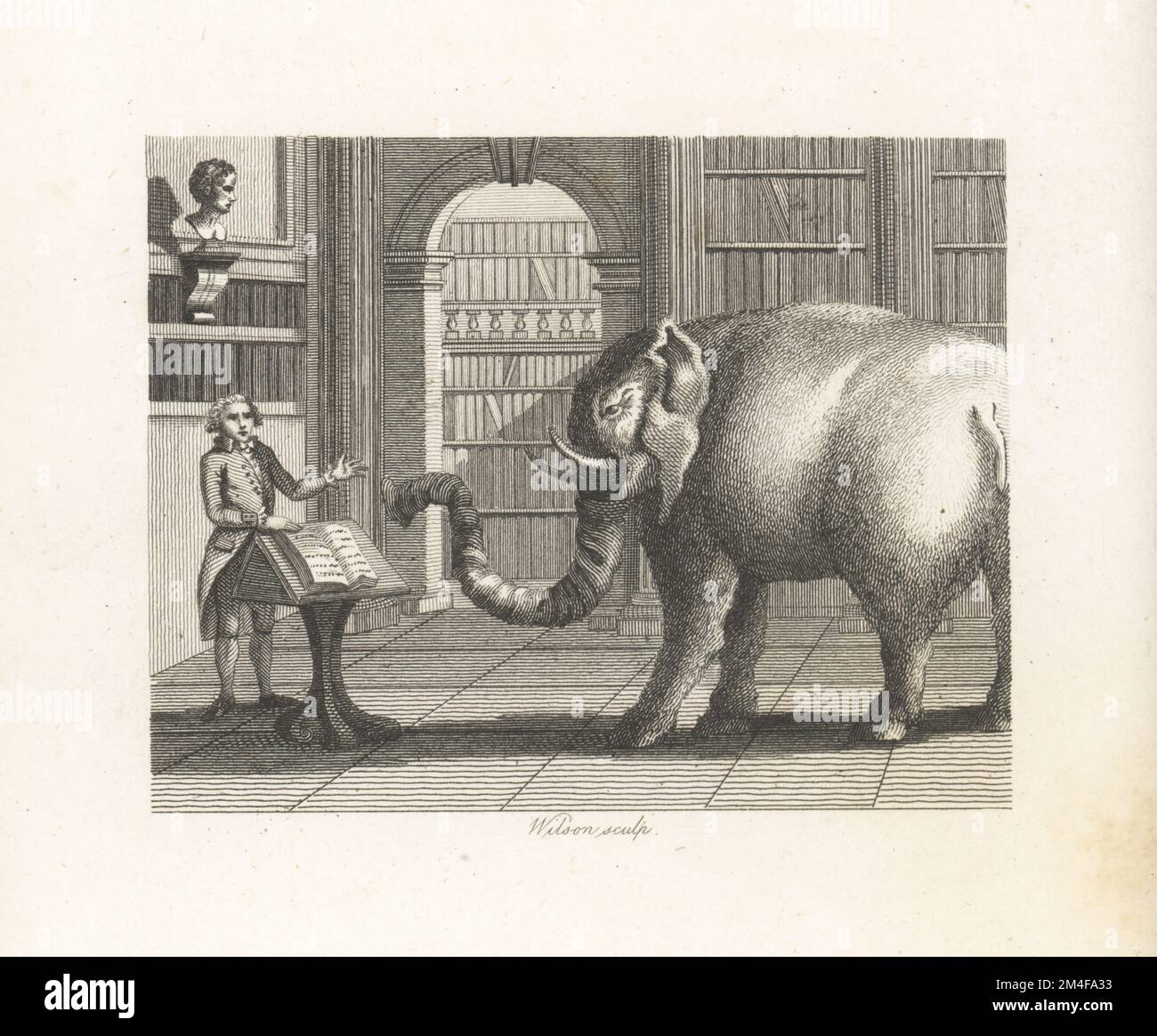 L'elefante e il libraio. Un elefante indiano che legge un libro in un'elegante libreria. Il commerciante del libro gira le pagine in un libro su un leggio. Incisione su copperplate di Wilson dopo un'illustrazione di William Kent da Fables di John Gay, con una vita dell'autore, John Stockdale, Londra, 1793. Foto Stock